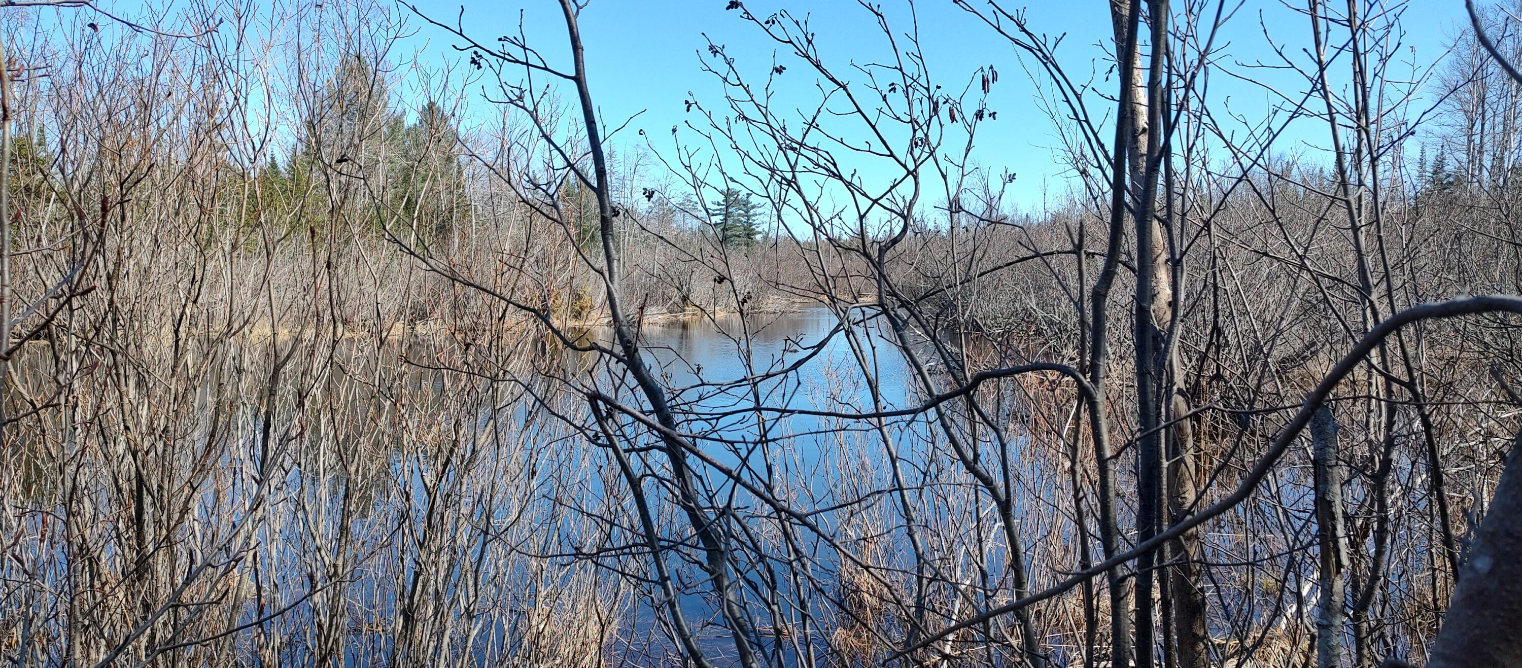 Cheboygan, Michigan 49721, United States, 3 Bedrooms Bedrooms, ,2 BathroomsBathrooms,Residential,Contingent,45594