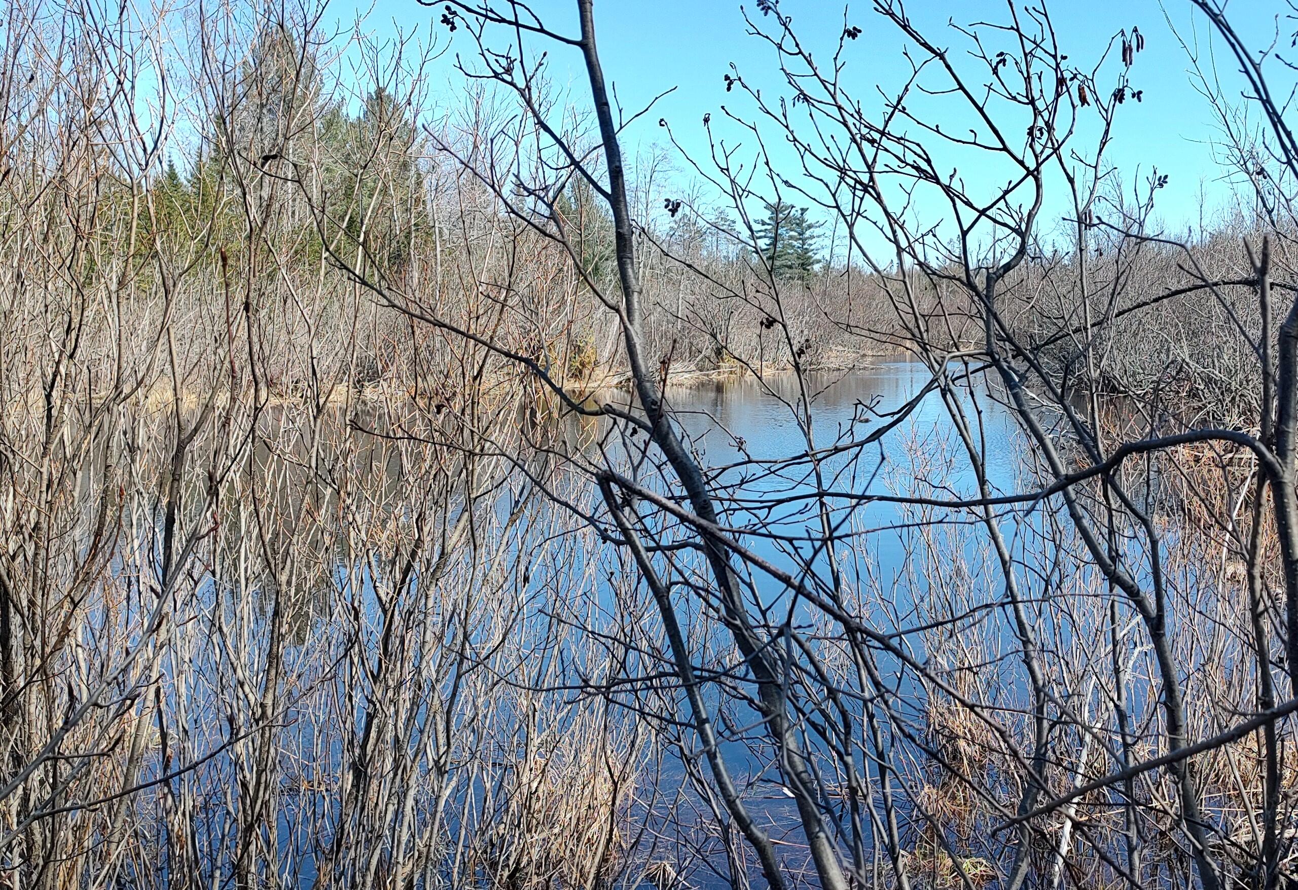 Cheboygan, Michigan 49721, United States, 3 Bedrooms Bedrooms, ,2 BathroomsBathrooms,Residential,Contingent,45594