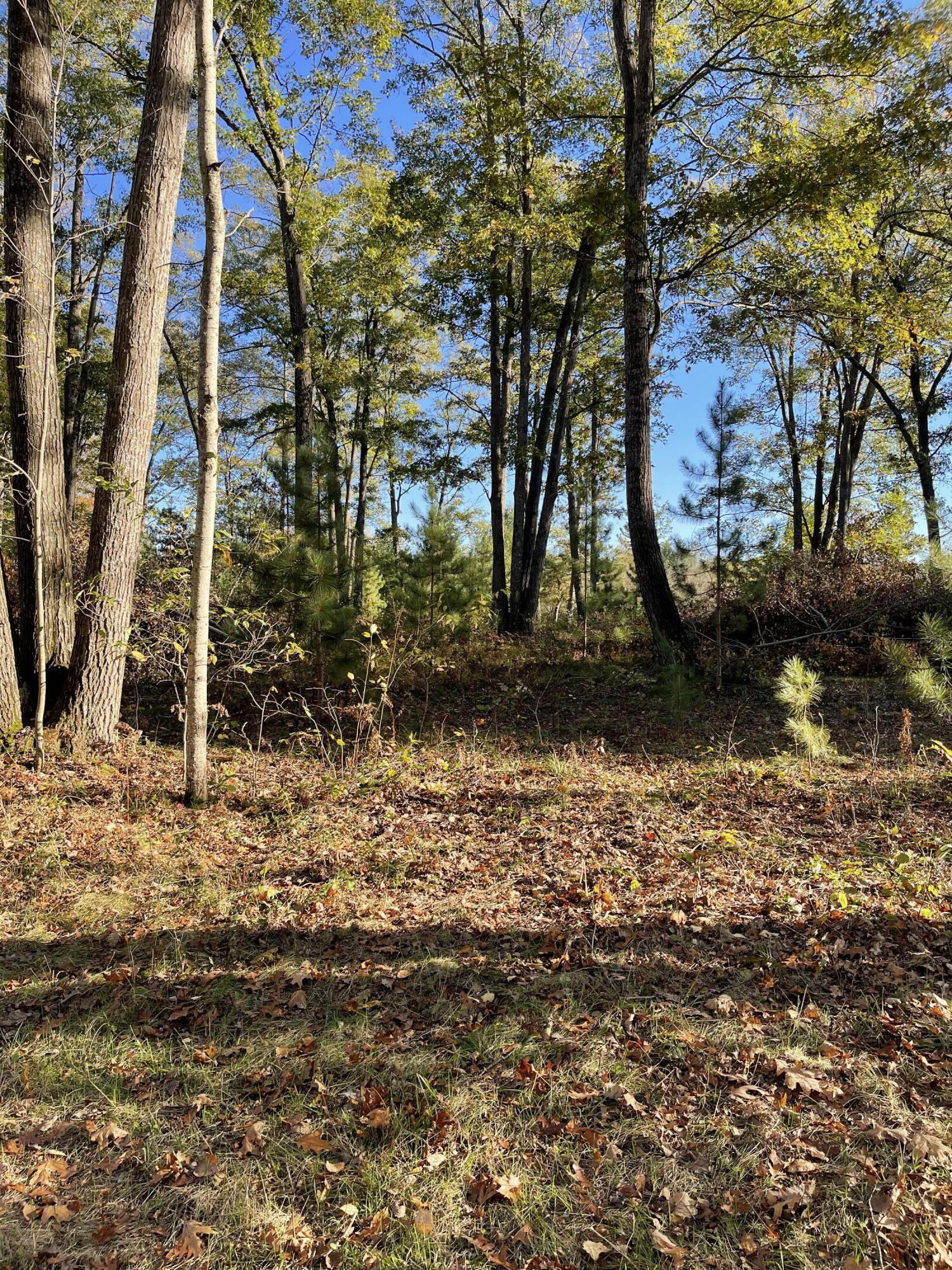 Photo 1 of 18 — Unit # 10 E Sucker Creek Road, Spruce, MI 48762