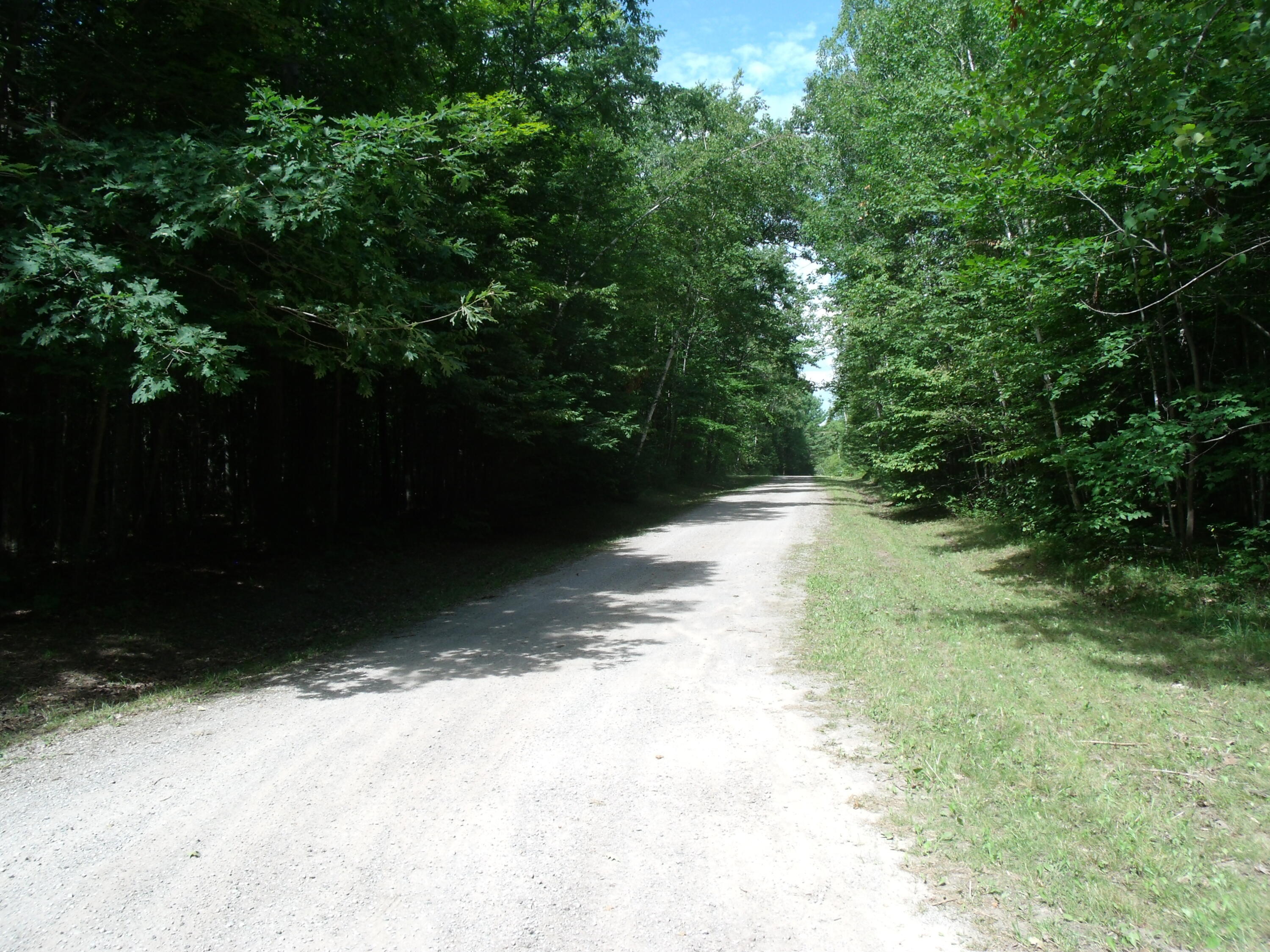 Indian River, Michigan 49749, United States, ,Land,Contingent,102630