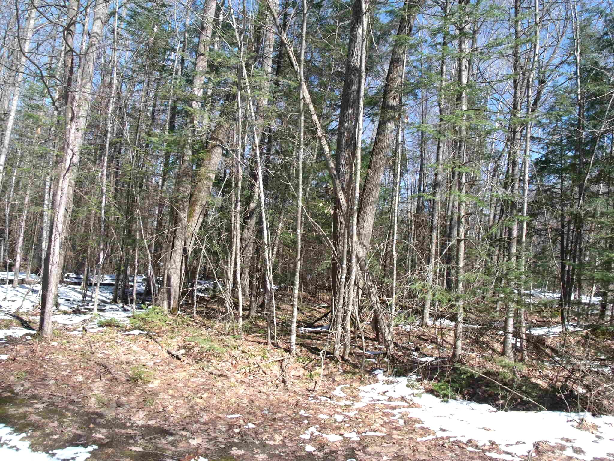 Indian River, Michigan 49749, United States, ,Land,Contingent,102630