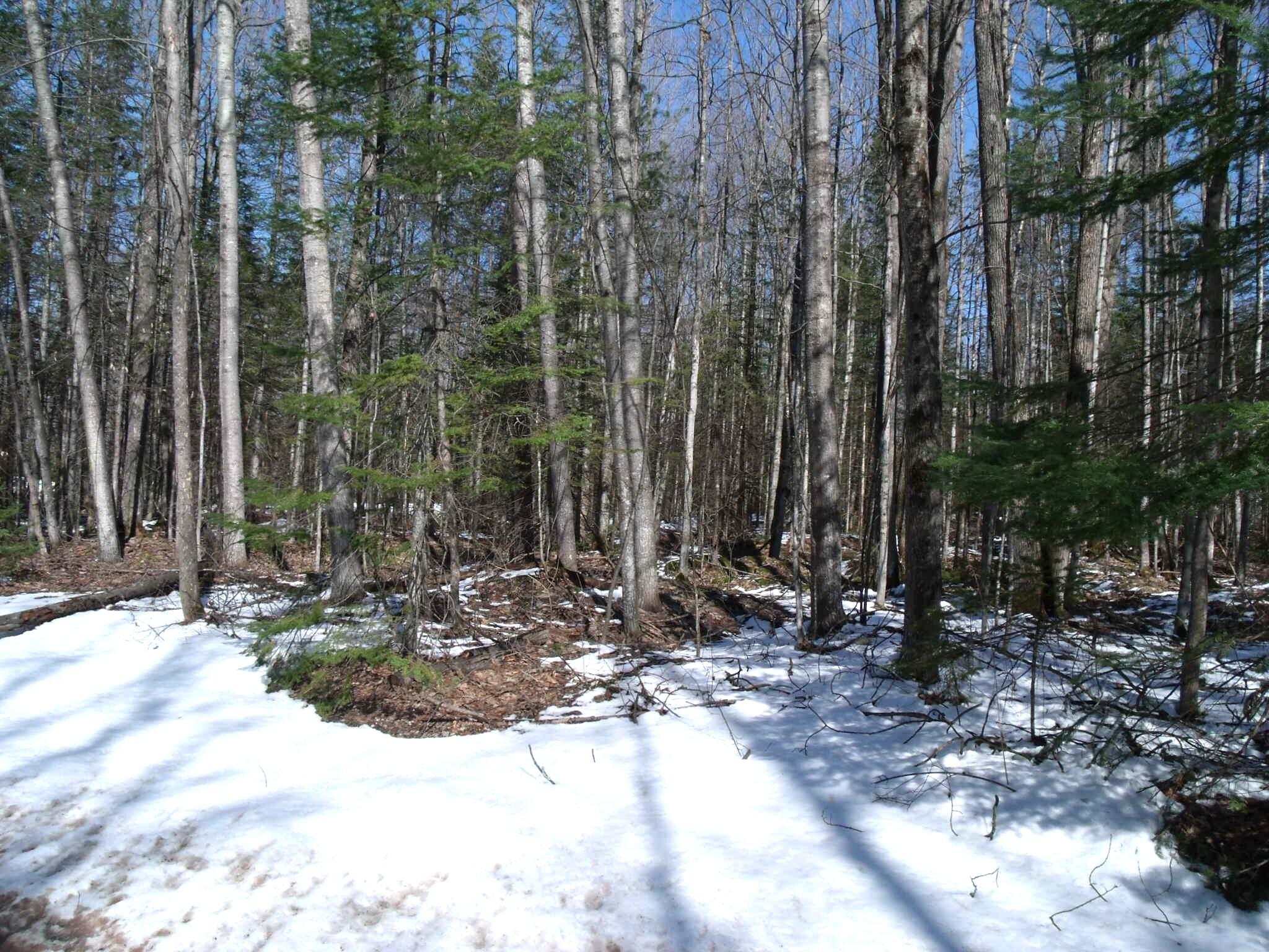 Indian River, Michigan 49749, United States, ,Land,Contingent,102630