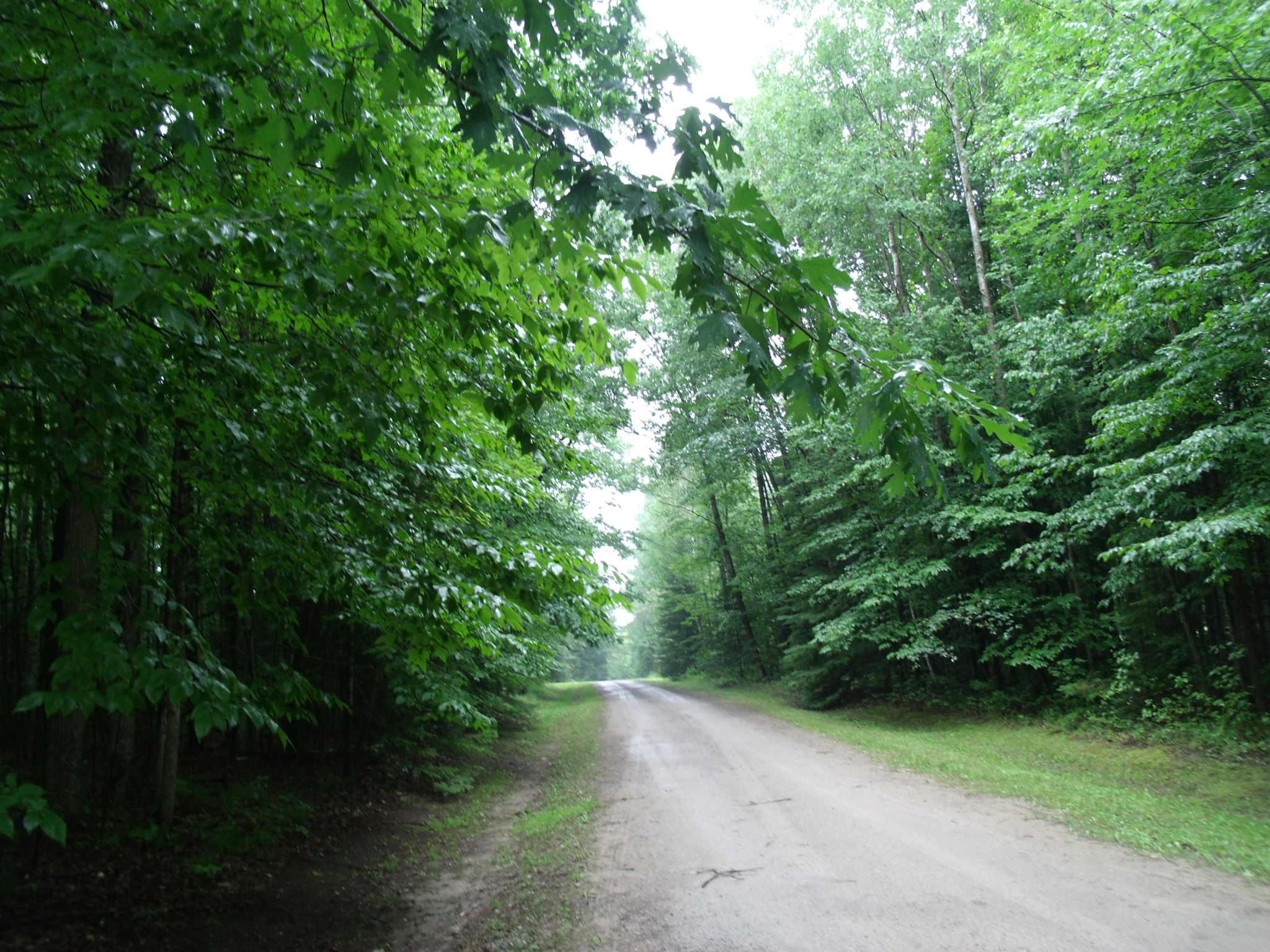 Indian River, Michigan 49749, United States, ,Land,Contingent,102630