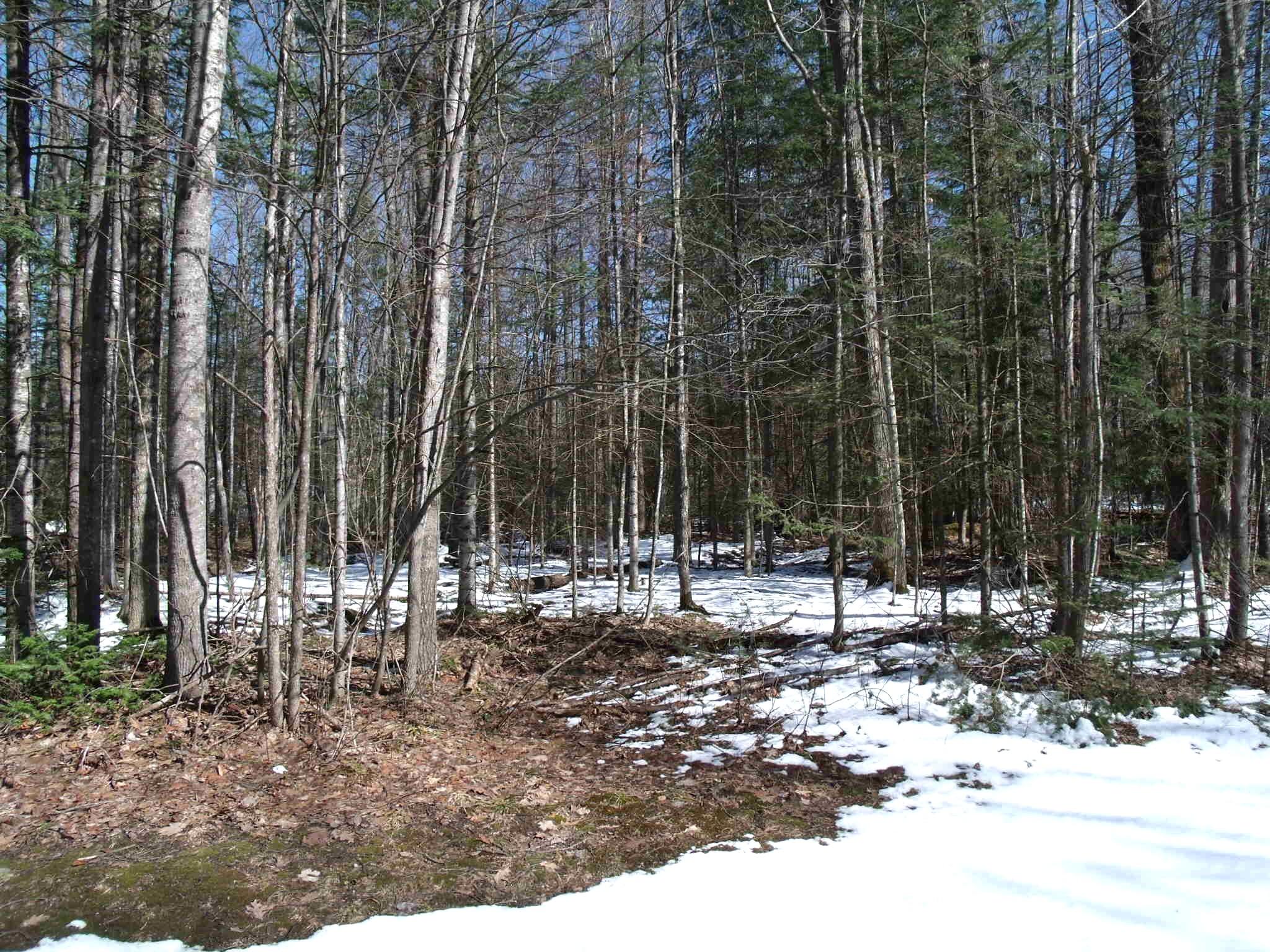 Indian River, Michigan 49749, United States, ,Land,Contingent,102630