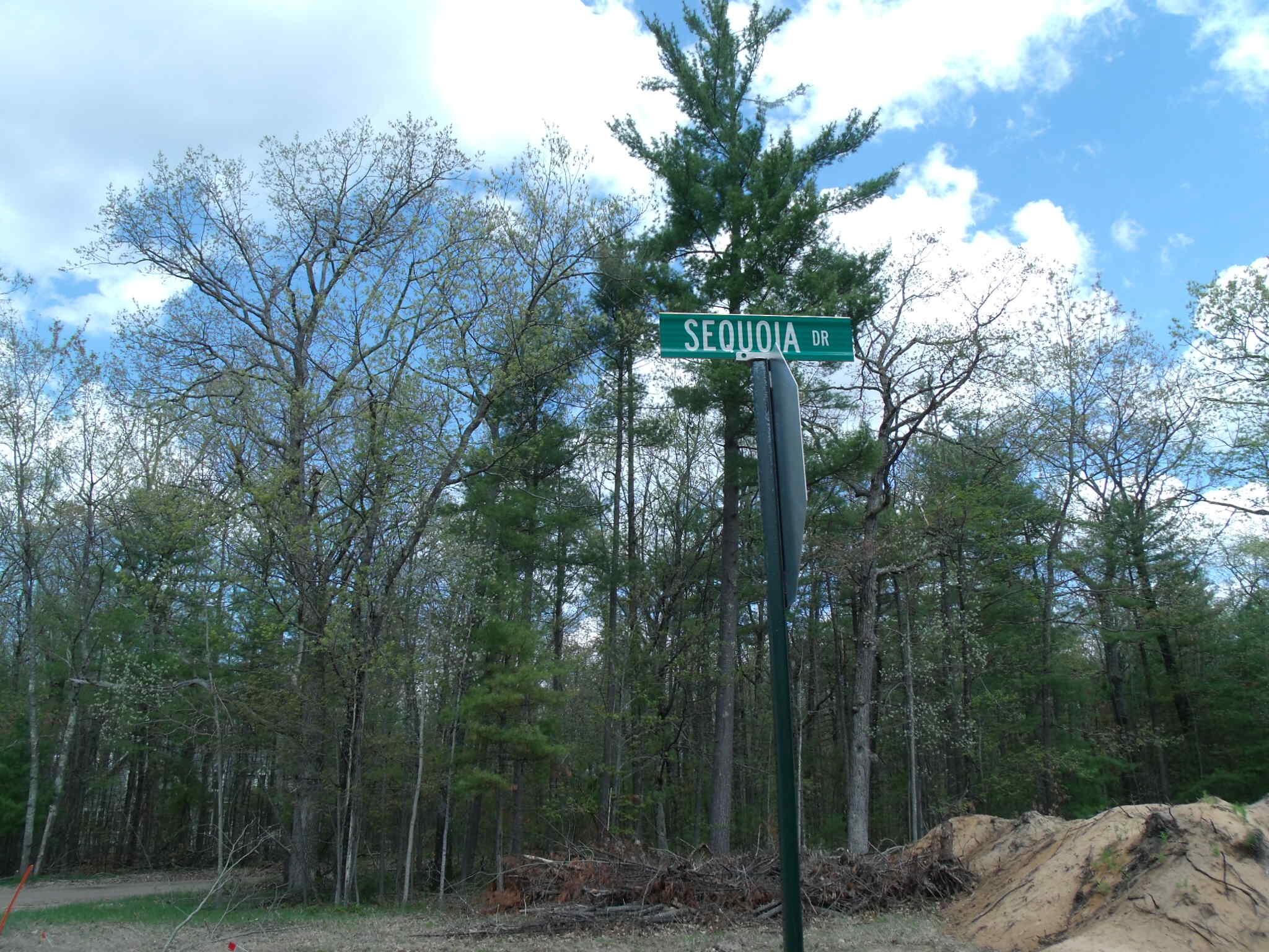 Indian River, Michigan 49749, United States, ,Land,Active,132341