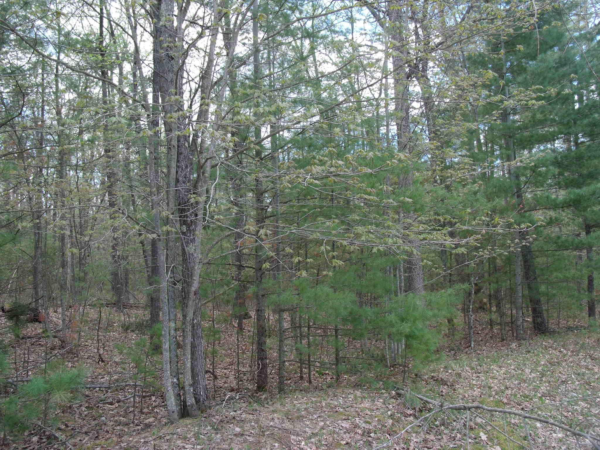 Indian River, Michigan 49749, United States, ,Land,Active,132341