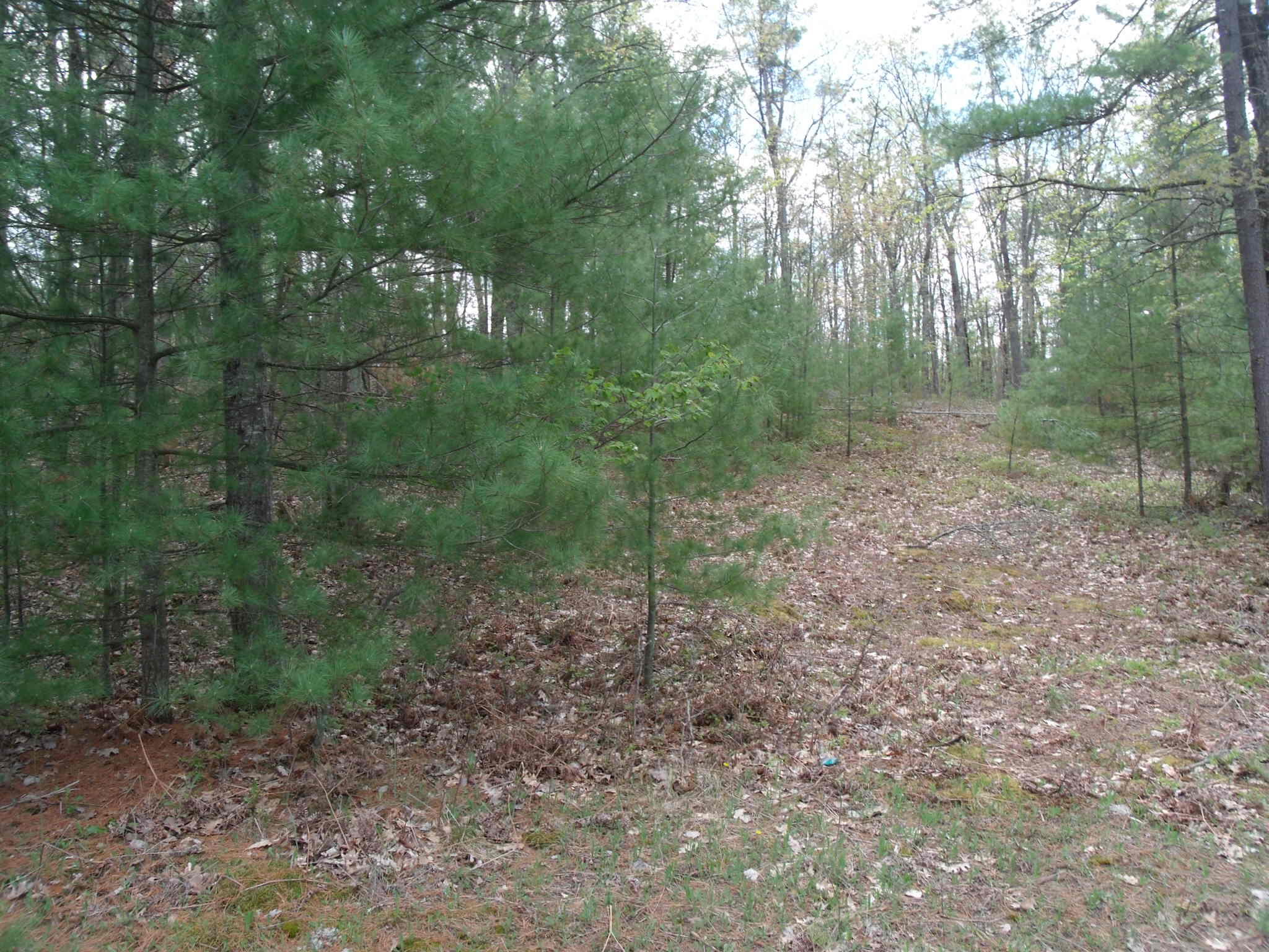 Indian River, Michigan 49749, United States, ,Land,Active,132341