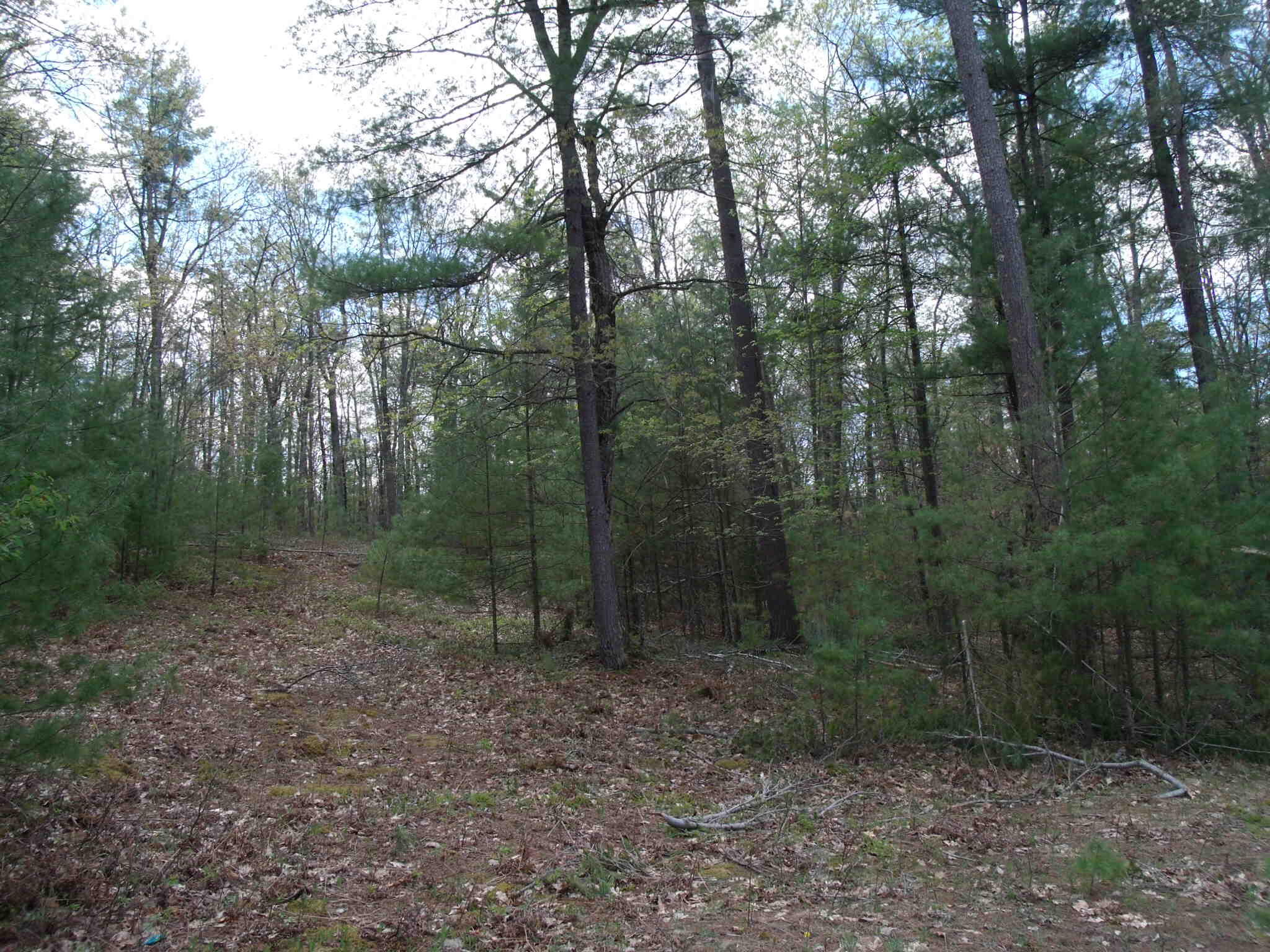 Indian River, Michigan 49749, United States, ,Land,Active,132341