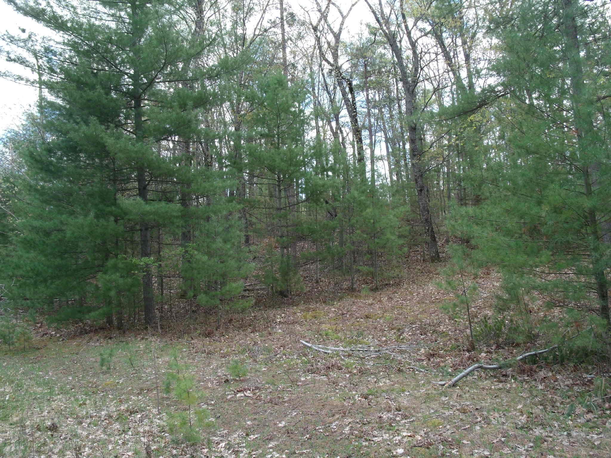 Indian River, Michigan 49749, United States, ,Land,Active,132341