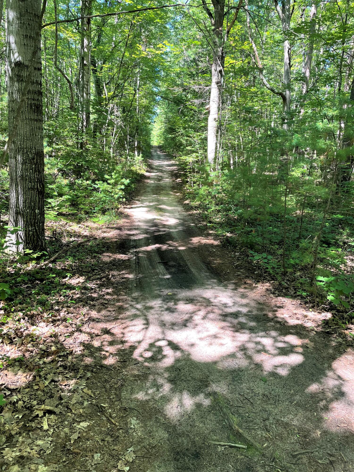 Topinabee, Michigan 49791, United States, ,Land,Active,23958