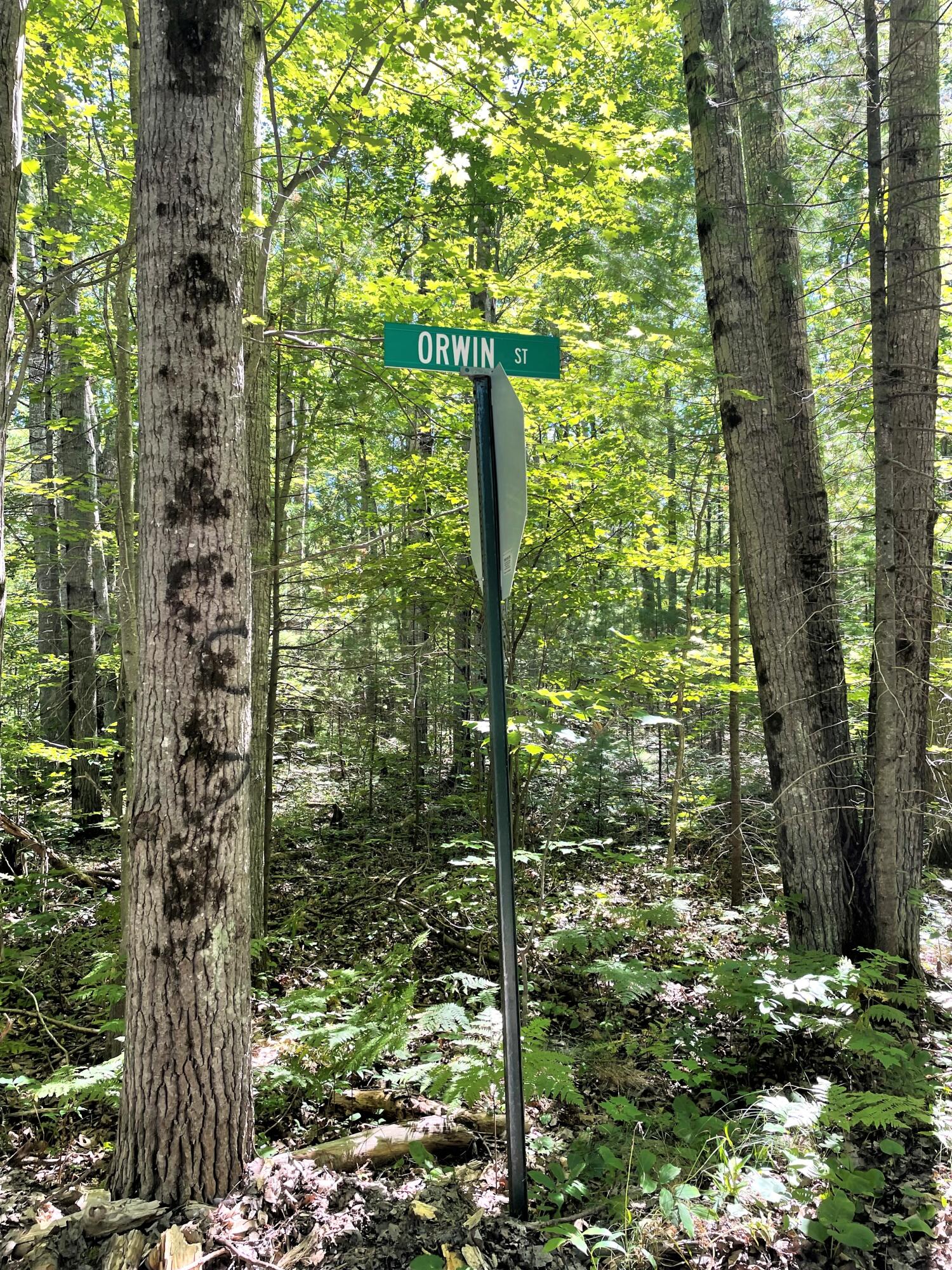 Topinabee, Michigan 49791, United States, ,Land,Active,23958