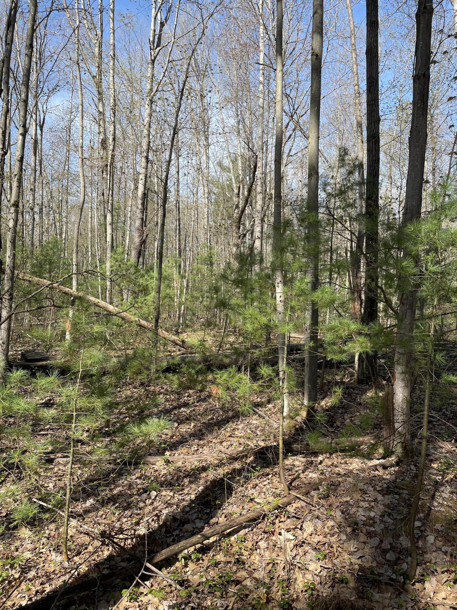 Topinabee, Michigan 49791, United States, ,Land,Active,23958