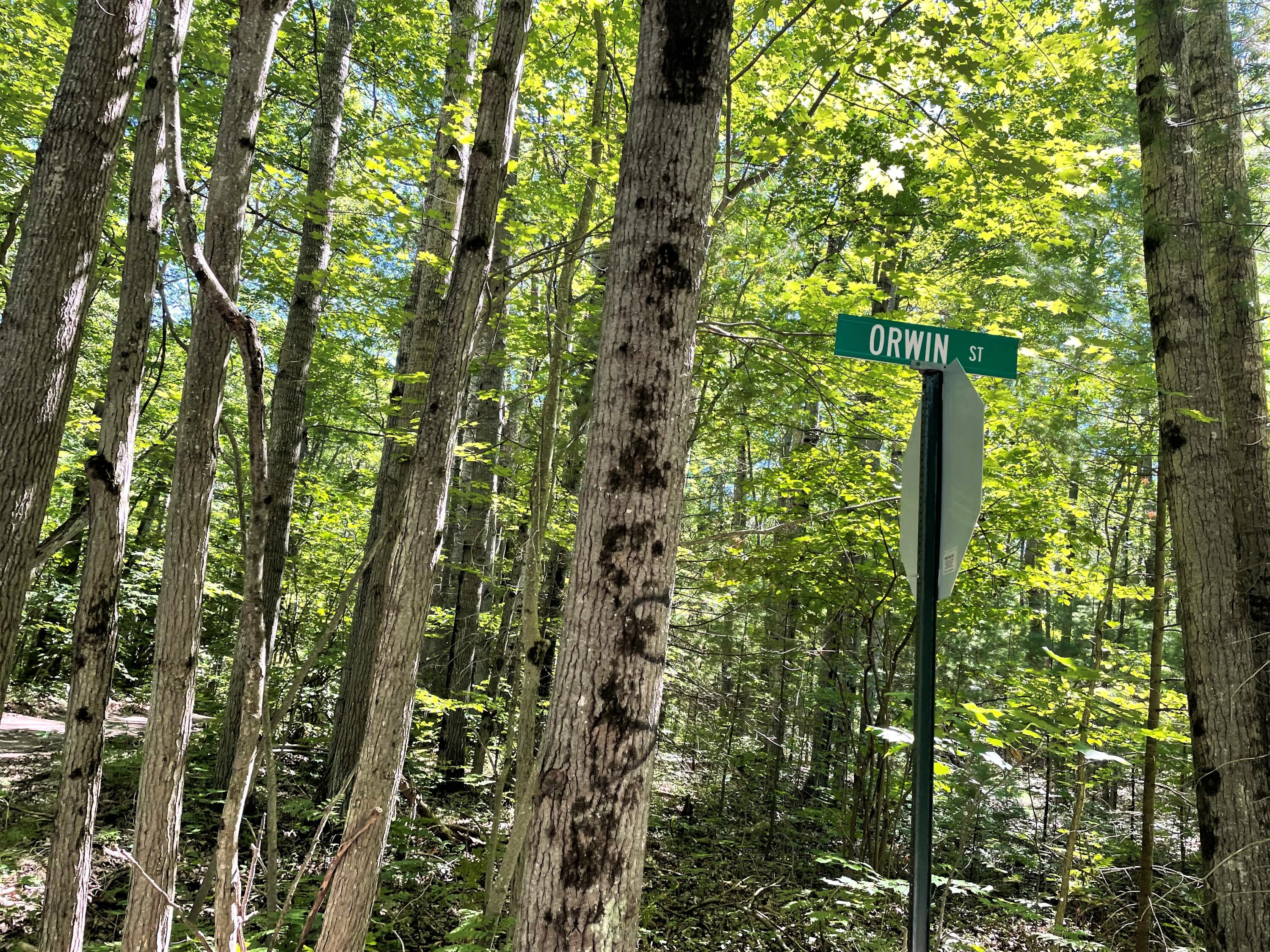 Topinabee, Michigan 49791, United States, ,Land,Active,23958