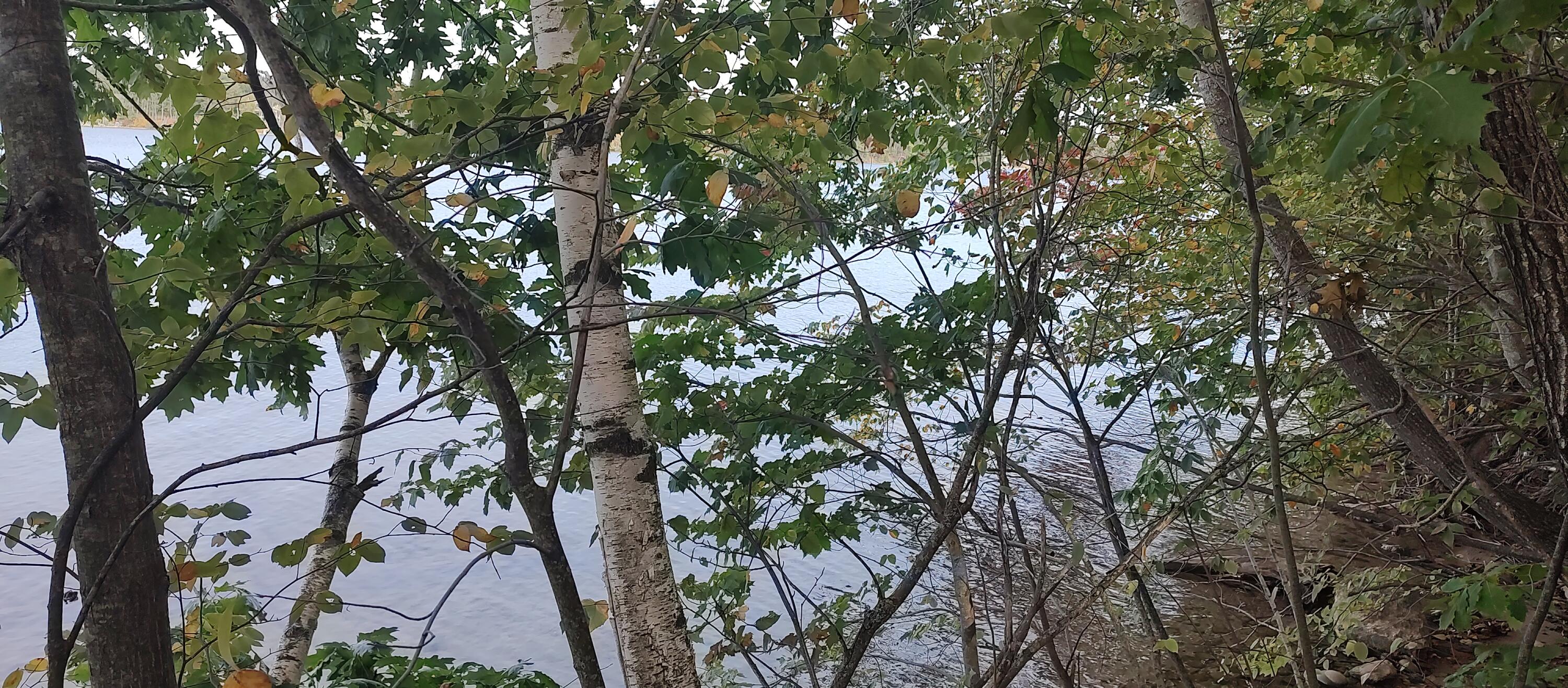 Cheboygan, Michigan 49721, United States, ,Land,Active,40542