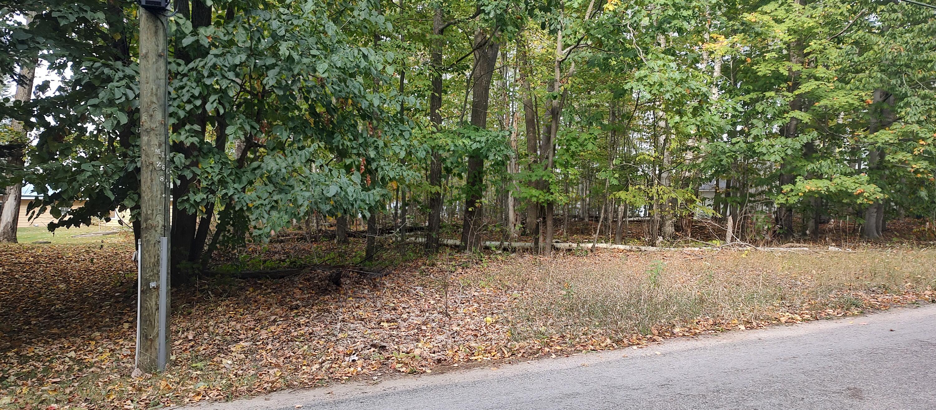 Cheboygan, Michigan 49721, United States, ,Land,Active,40542