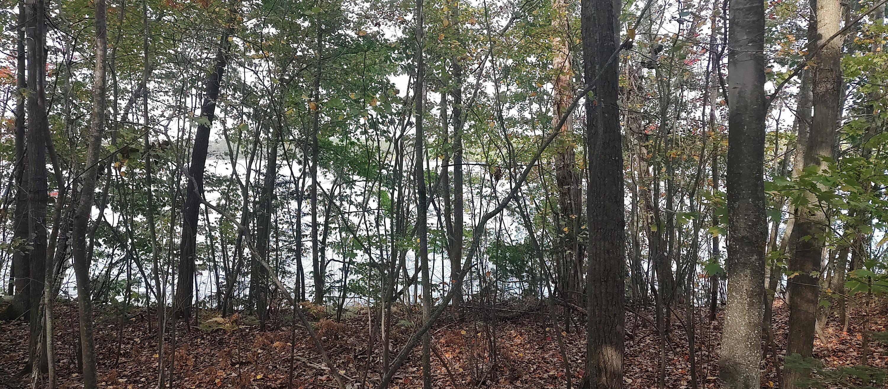 Cheboygan, Michigan 49721, United States, ,Land,Active,40542