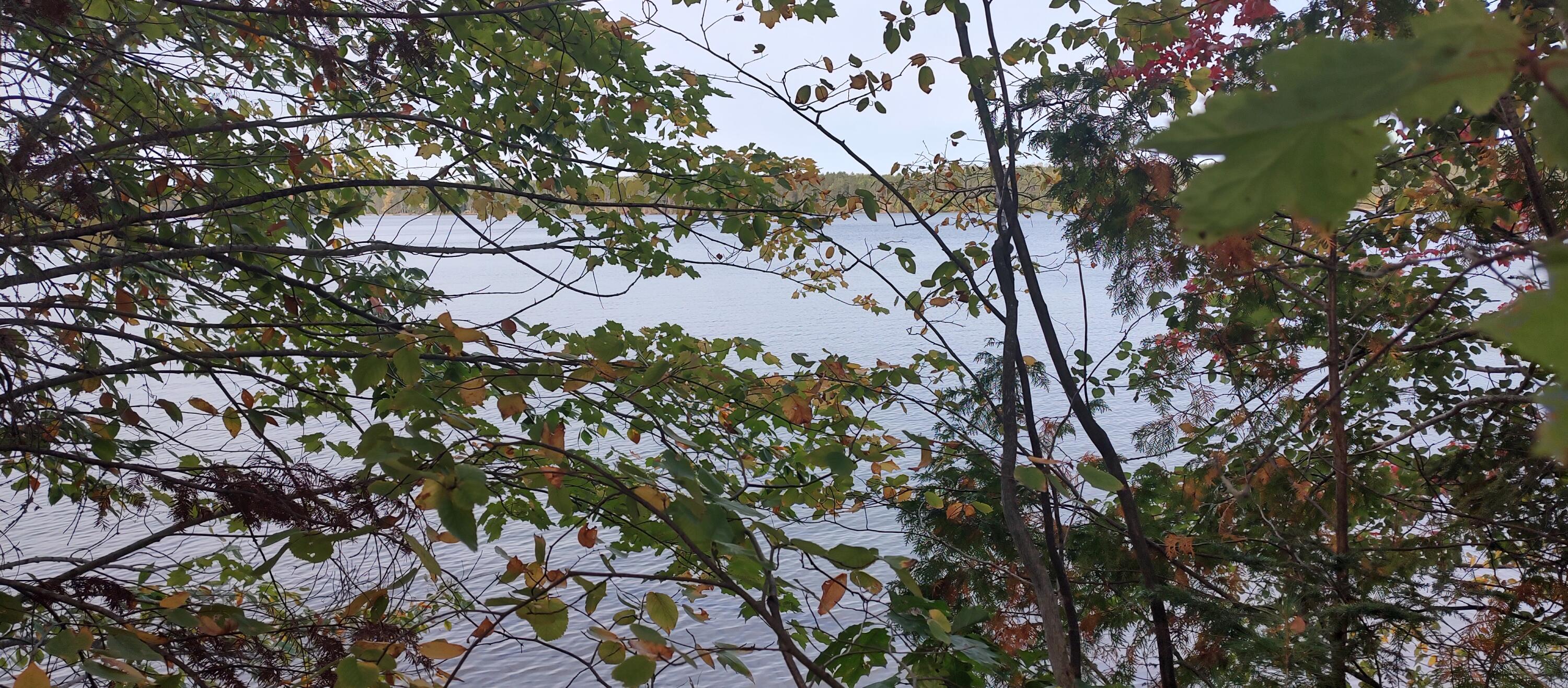 Cheboygan, Michigan 49721, United States, ,Land,Active,40542