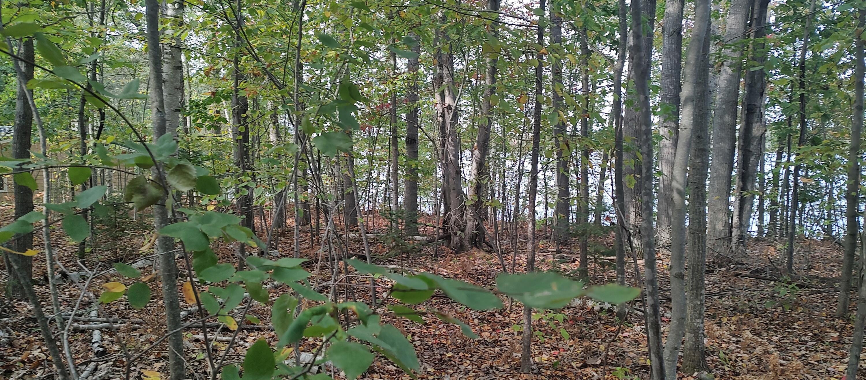 Cheboygan, Michigan 49721, United States, ,Land,Active,40542