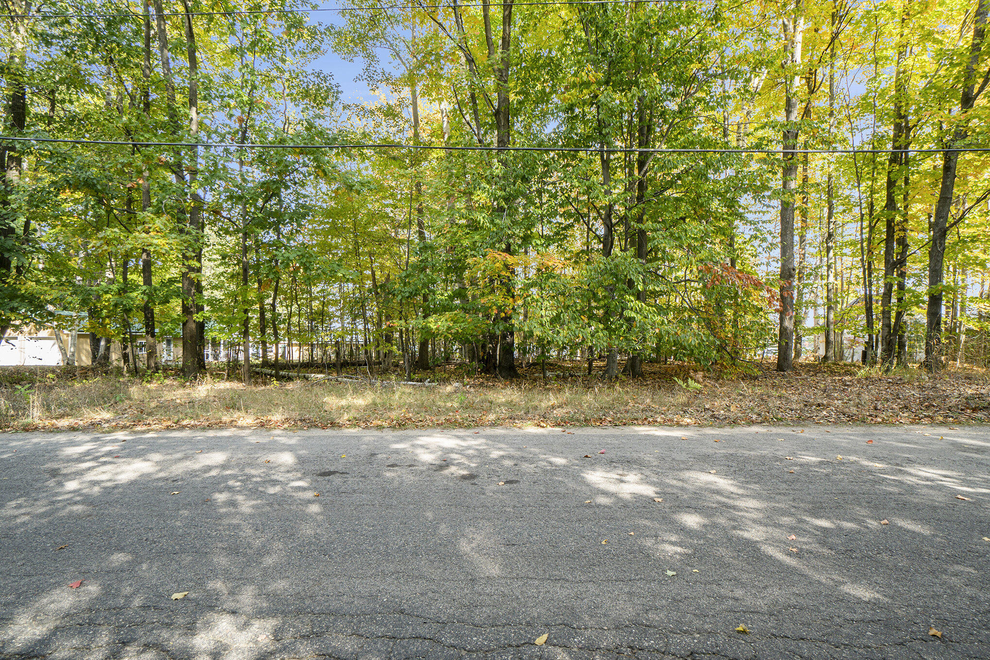 Cheboygan, Michigan 49721, United States, ,Land,Active,40542