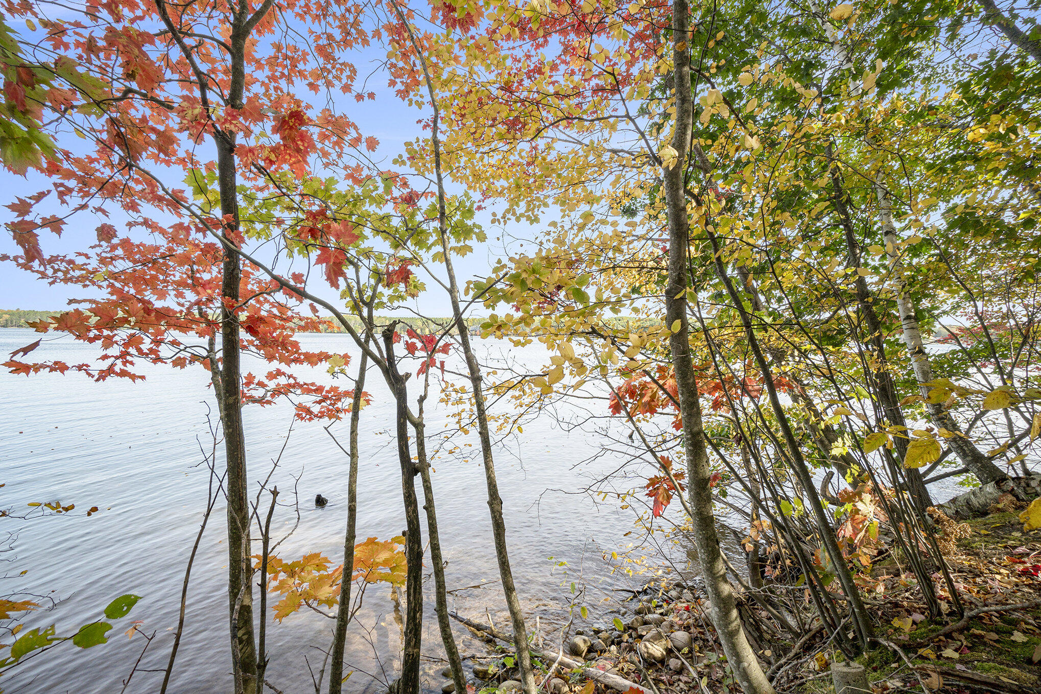 Cheboygan, Michigan 49721, United States, ,Land,Active,40542