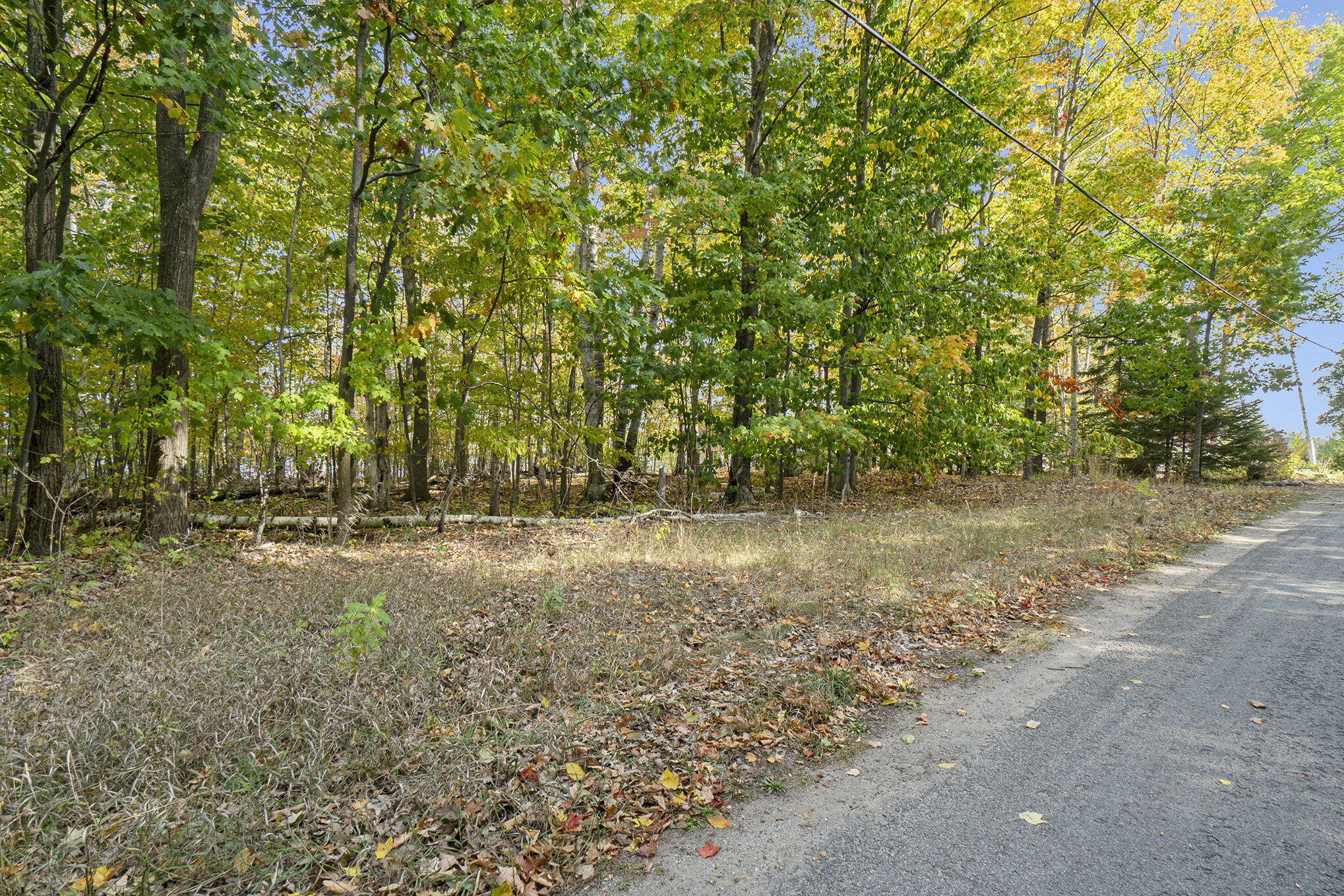 Cheboygan, Michigan 49721, United States, ,Land,Active,40542