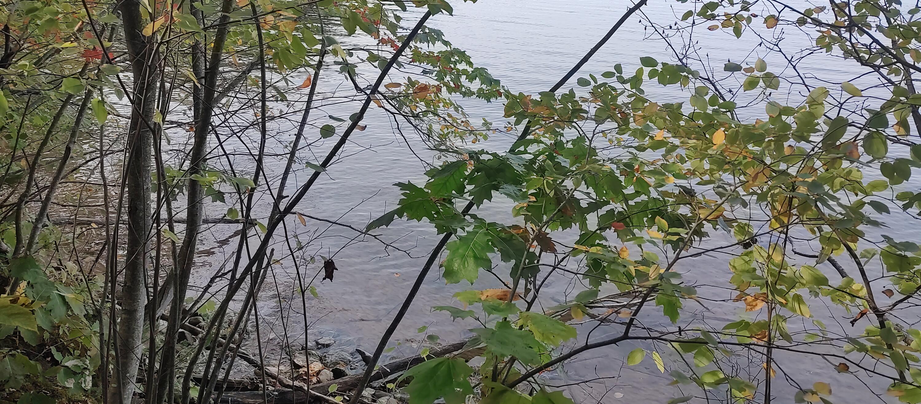 Cheboygan, Michigan 49721, United States, ,Land,Active,40542