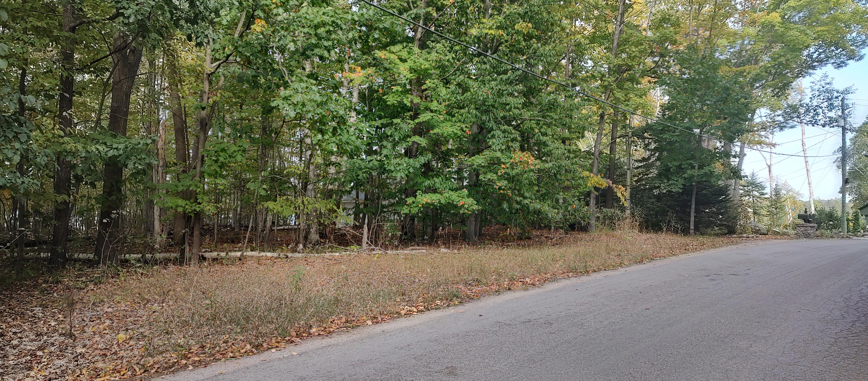 Cheboygan, Michigan 49721, United States, ,Land,Active,40542