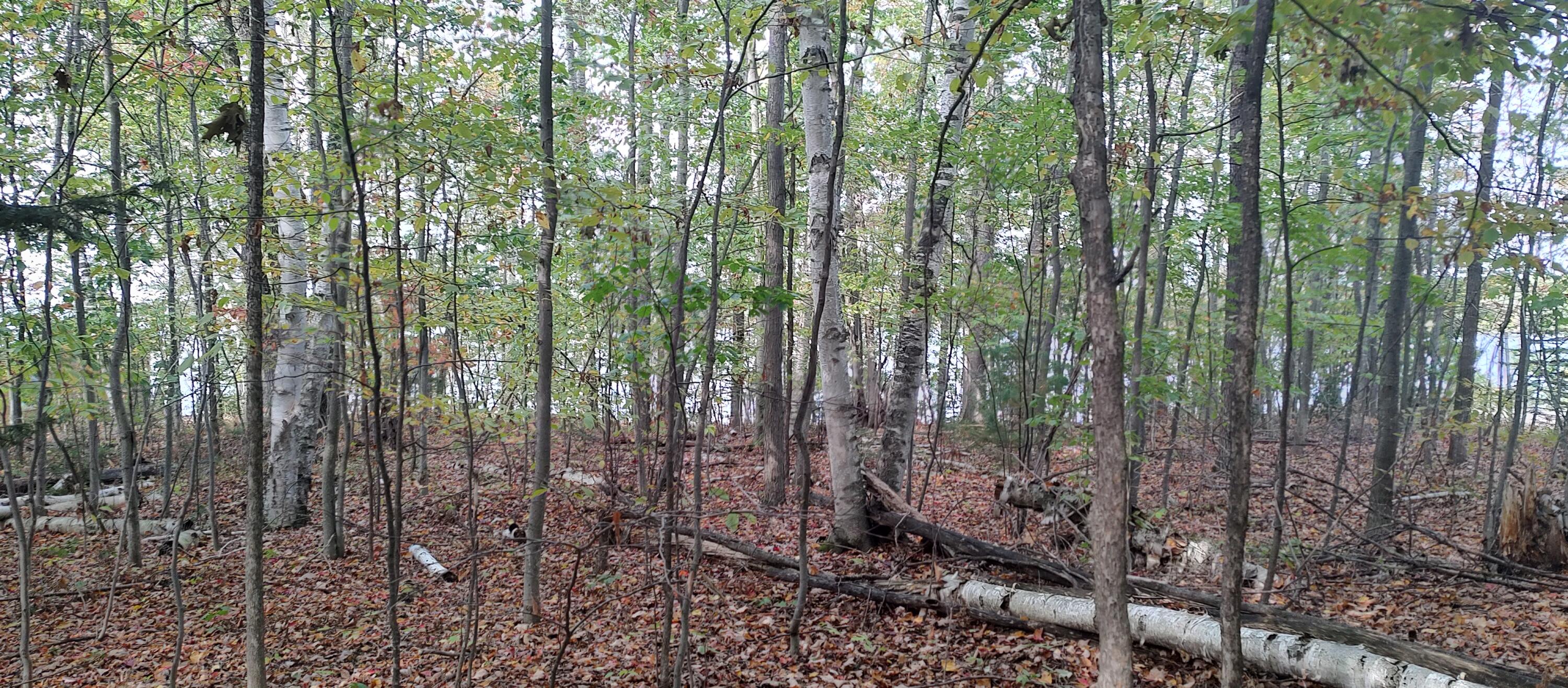 Cheboygan, Michigan 49721, United States, ,Land,Active,40542