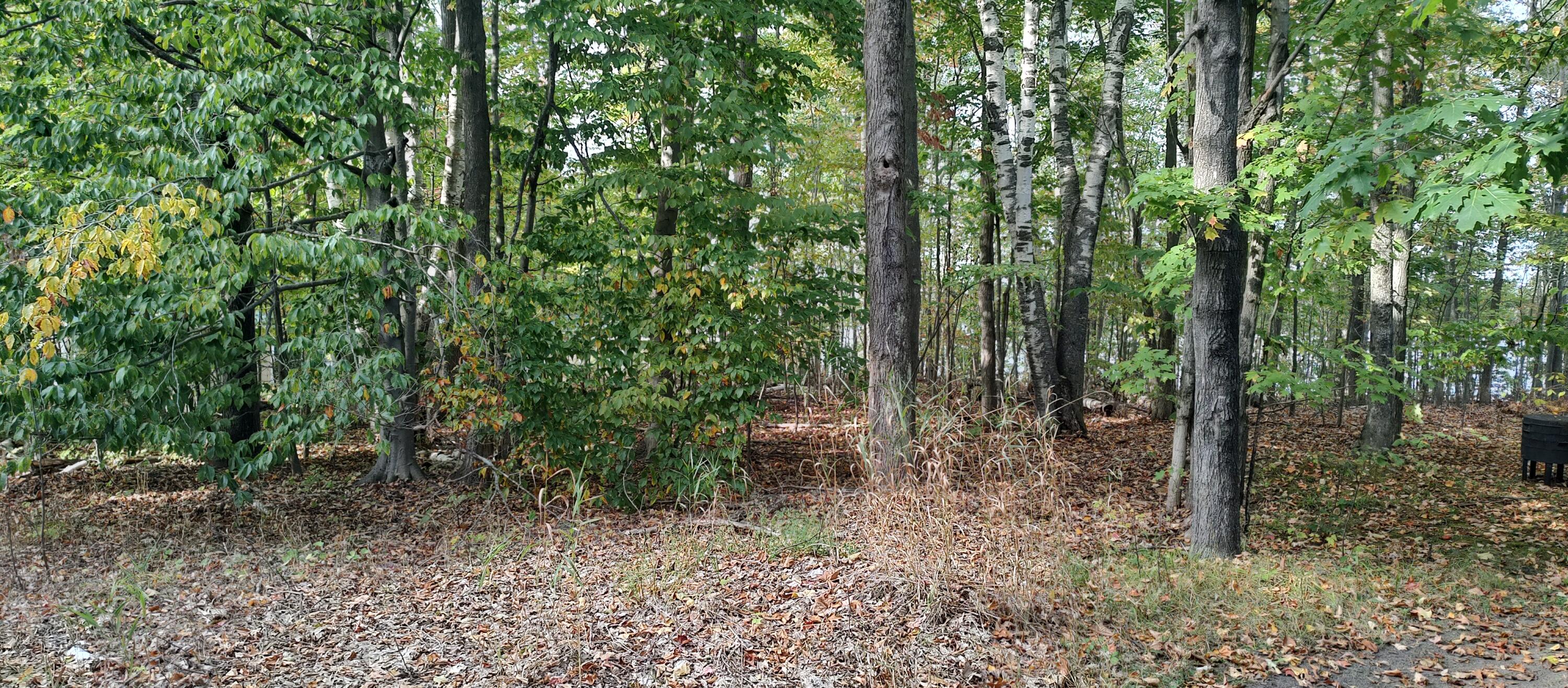 Cheboygan, Michigan 49721, United States, ,Land,Active,40542