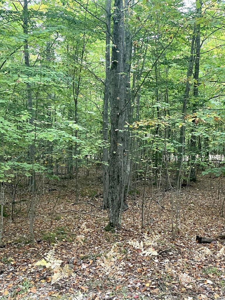 Cheboygan, Michigan 49721, United States, ,Land,Contingent,79746