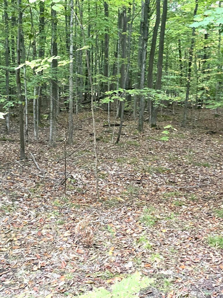 Cheboygan, Michigan 49721, United States, ,Land,Contingent,79746