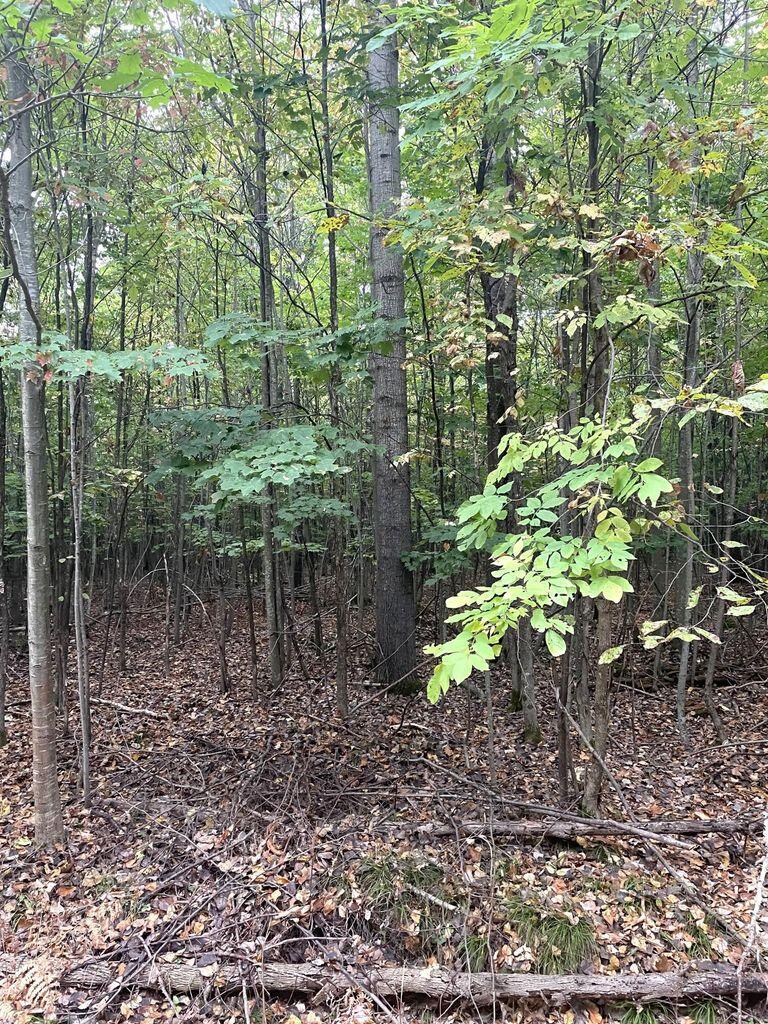 Cheboygan, Michigan 49721, United States, ,Land,Contingent,79746