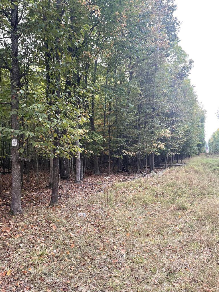 Cheboygan, Michigan 49721, United States, ,Land,Contingent,79746