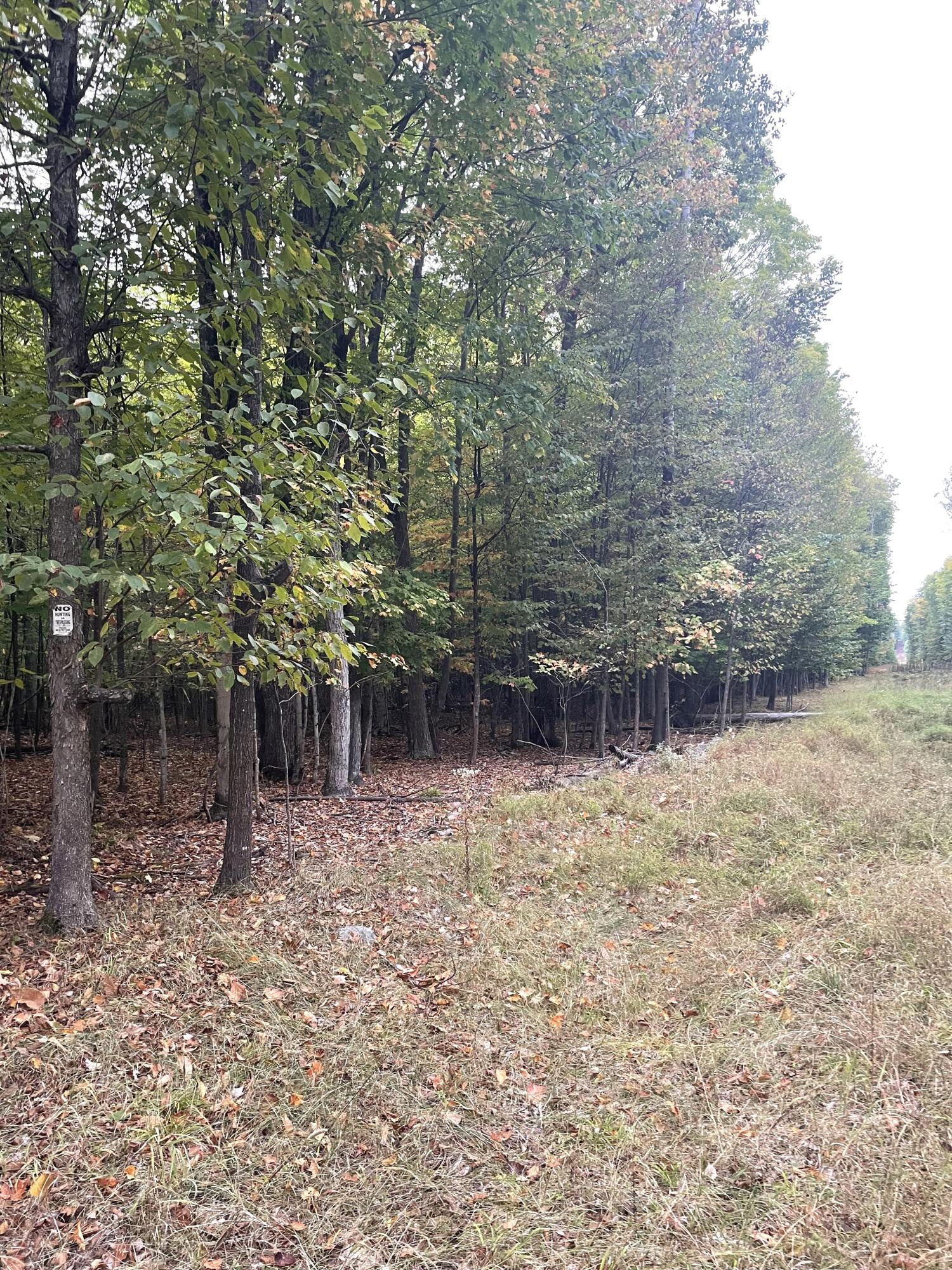 Cheboygan, Michigan 49721, United States, ,Land,Active,42023