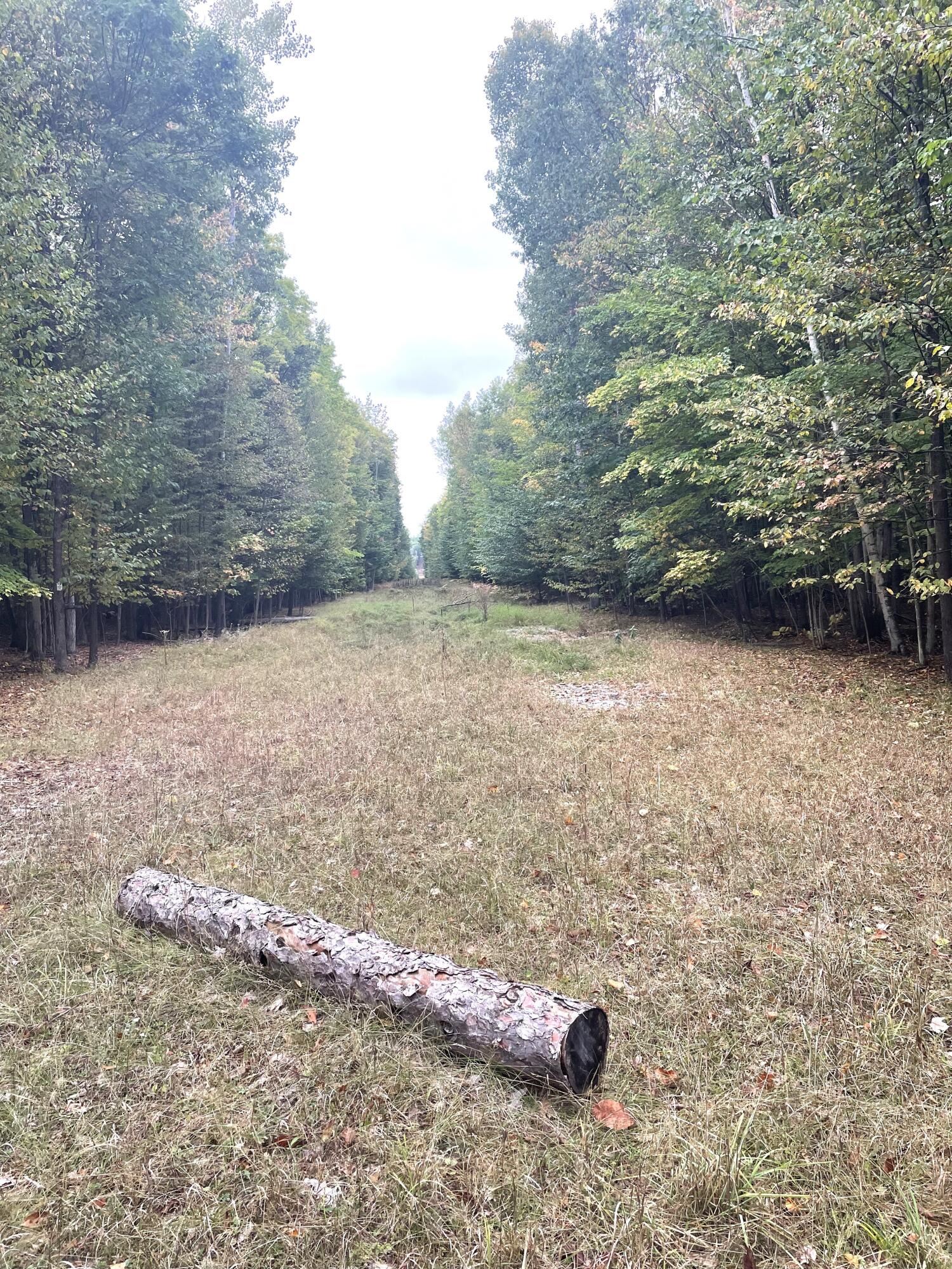 Cheboygan, Michigan 49721, United States, ,Land,Active,42023