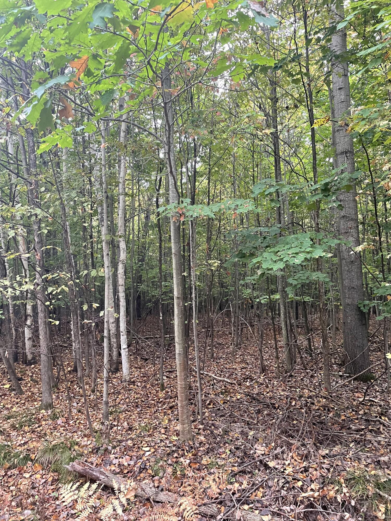 Cheboygan, Michigan 49721, United States, ,Land,Active,42023