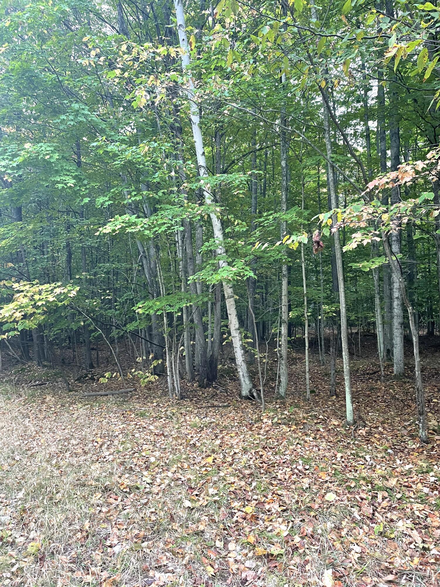 Cheboygan, Michigan 49721, United States, ,Land,Active,42023