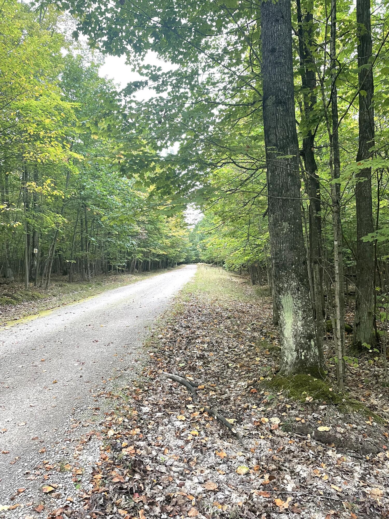 Cheboygan, Michigan 49721, United States, ,Land,Active,42023