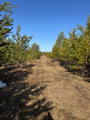 54.4 ACRES S MACKINAC TRAIL, SAULT STE MARIE, MI 49783 - Image 613b91ea1b6a42a3968ea8ea7e1e3024/626438782