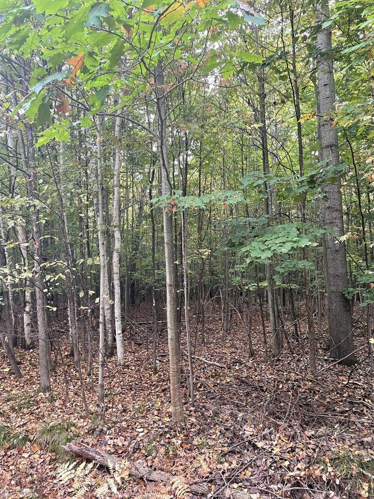 Cheboygan, Michigan 49721, United States, ,Land,Contingent,79778