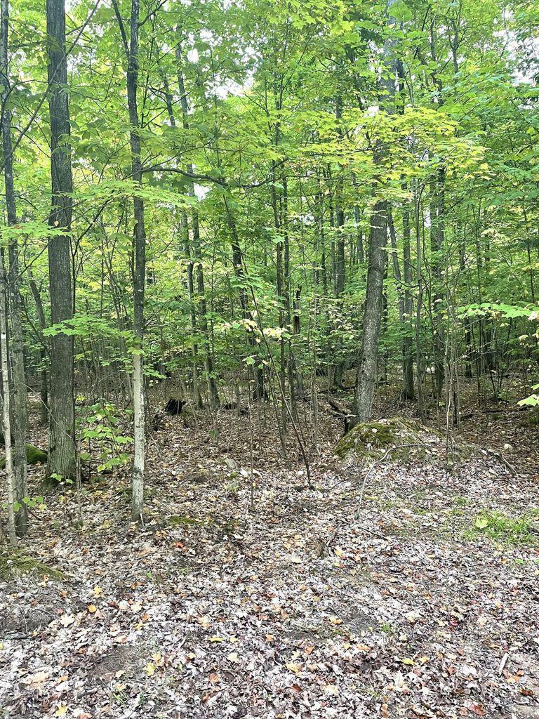 Cheboygan, Michigan 49721, United States, ,Land,Contingent,79778