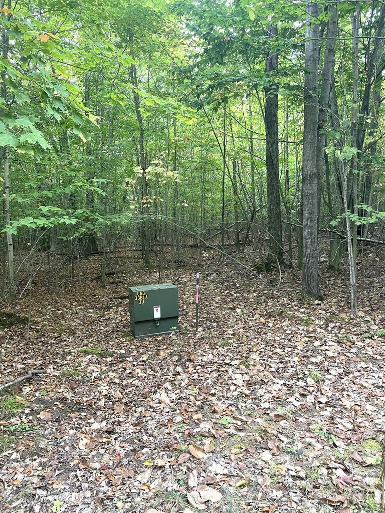 Cheboygan, Michigan 49721, United States, ,Land,Contingent,79778