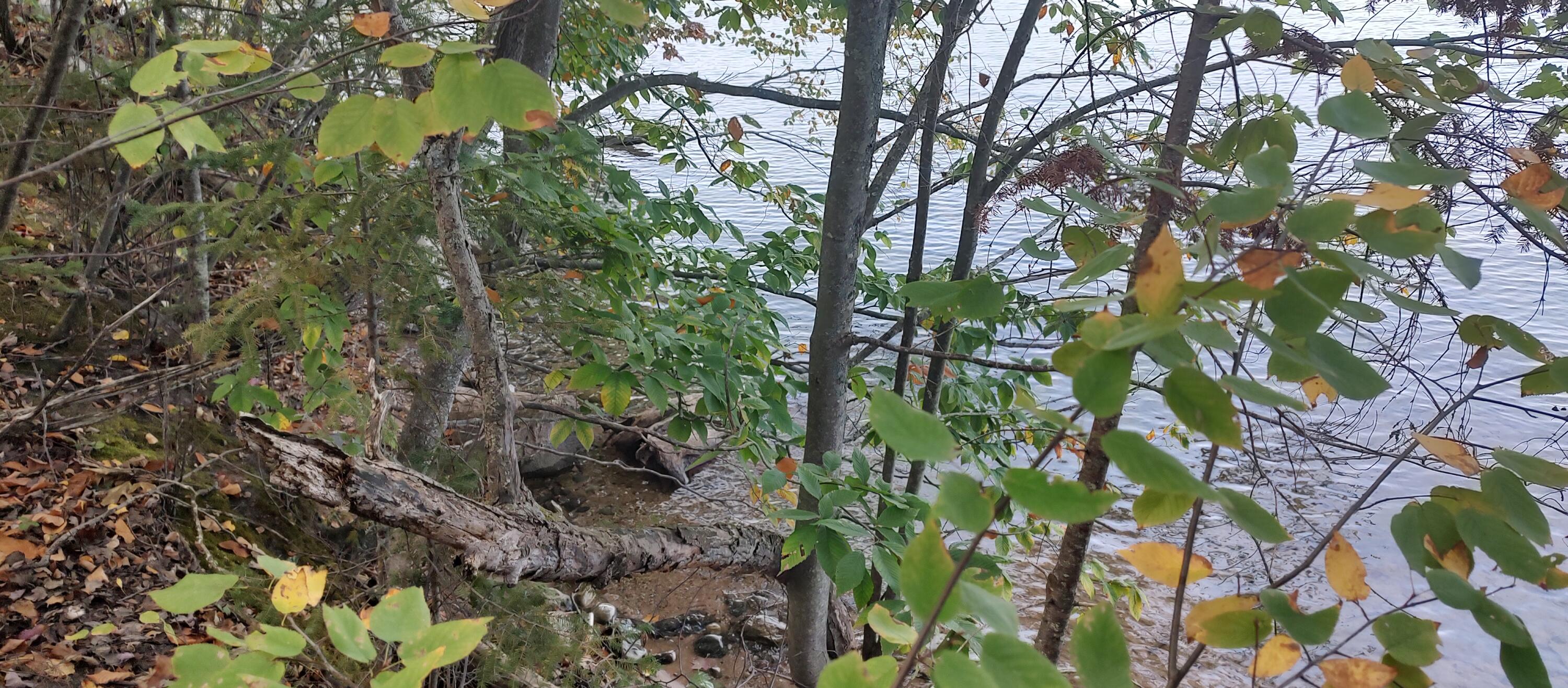 Cheboygan, Michigan 49721, United States, ,Land,Active,40541