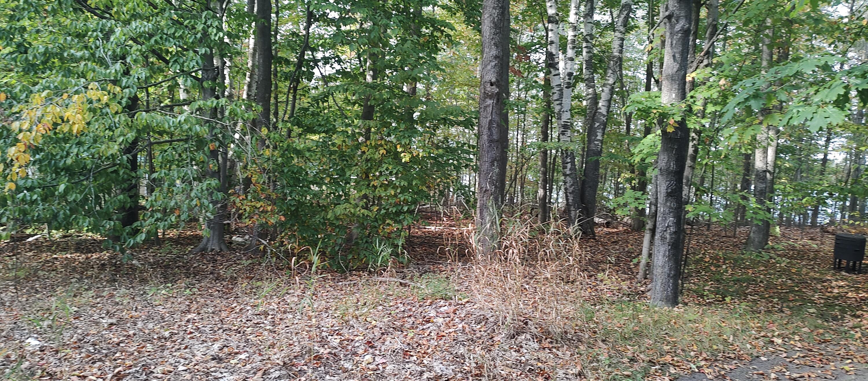 Cheboygan, Michigan 49721, United States, ,Land,Active,40541