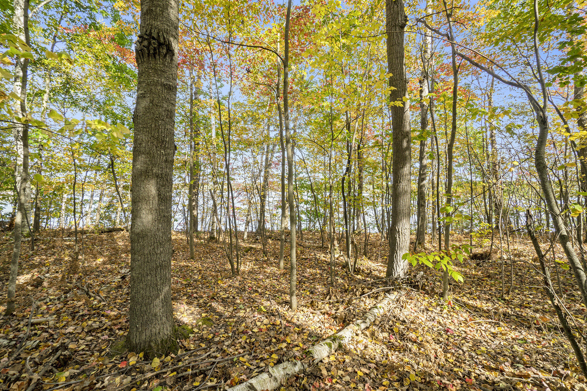 Cheboygan, Michigan 49721, United States, ,Land,Active,40541