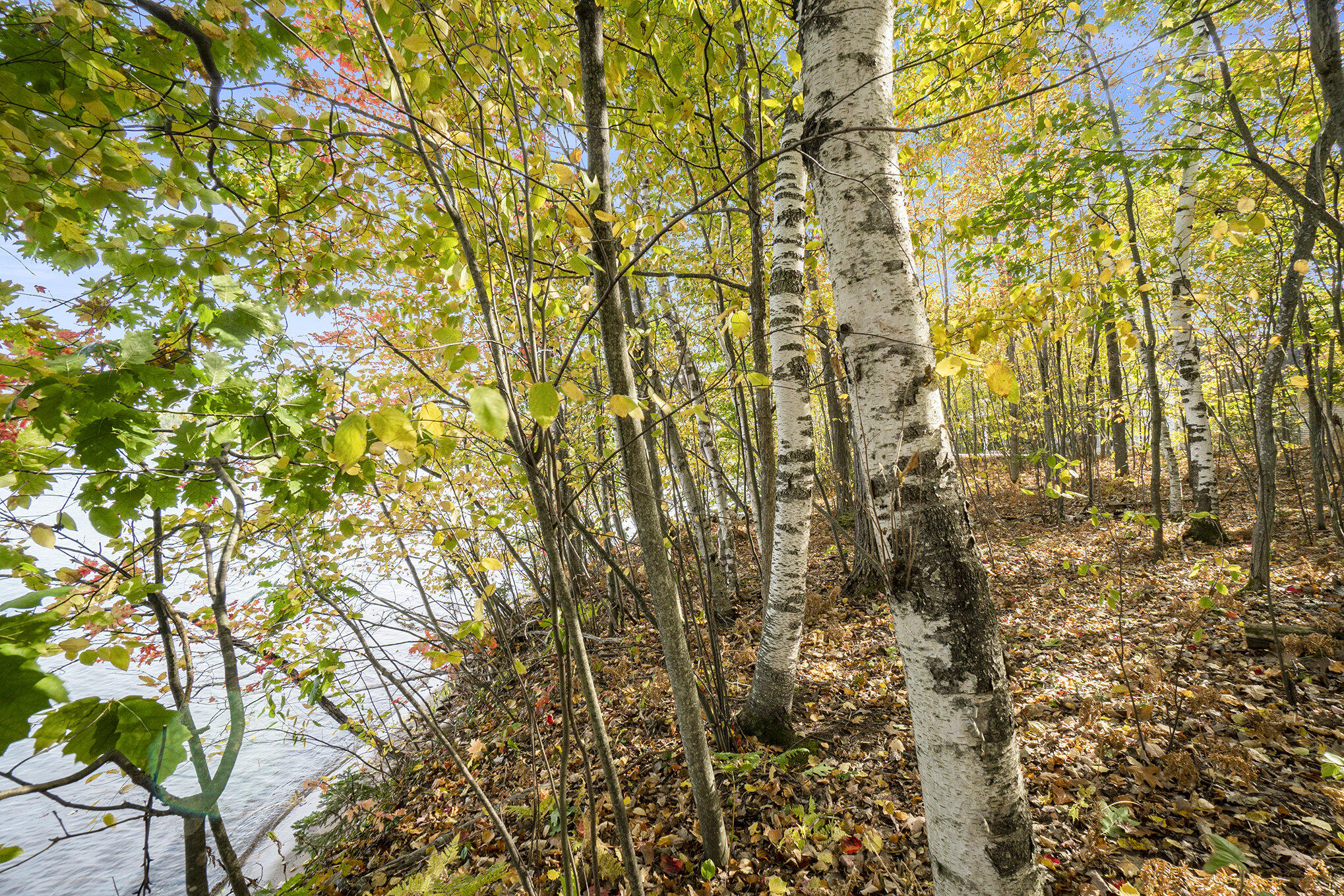 Cheboygan, Michigan 49721, United States, ,Land,Active,40541