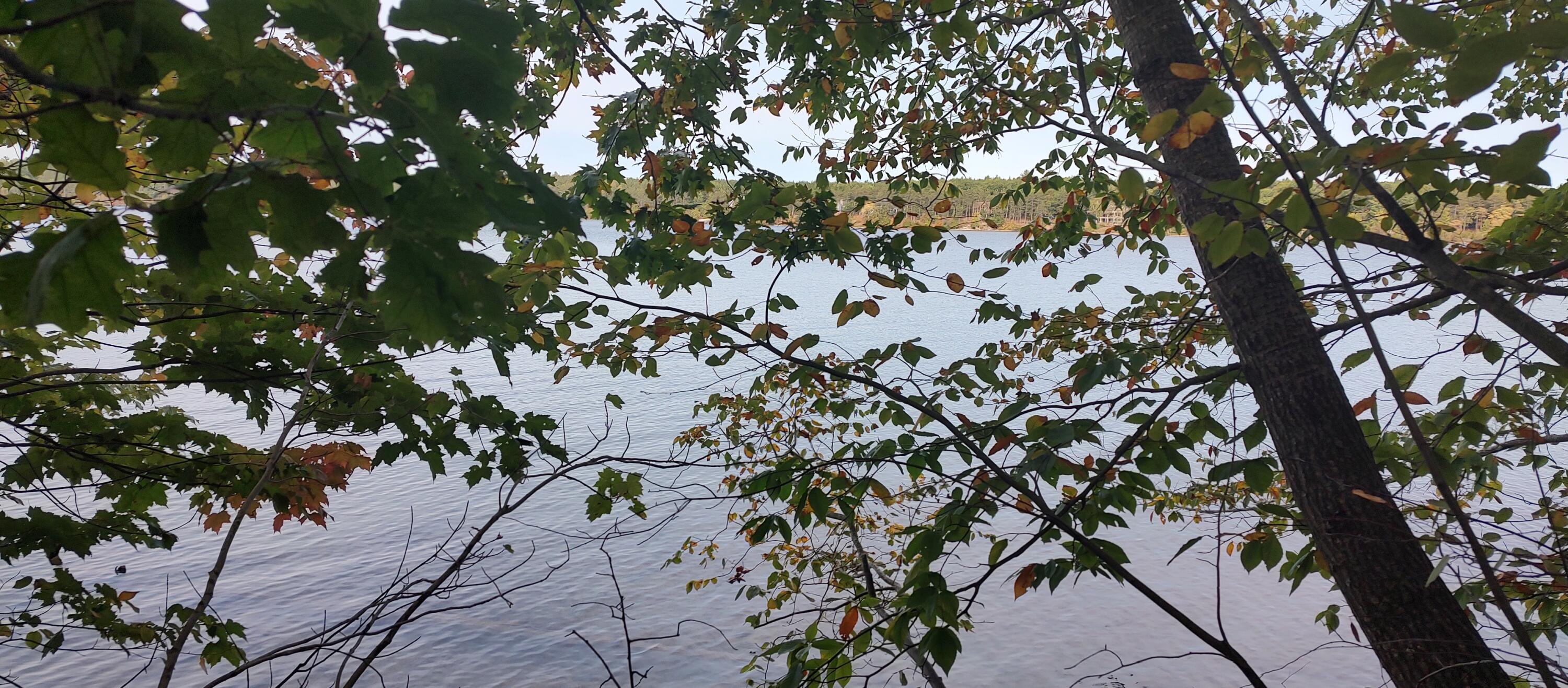 Cheboygan, Michigan 49721, United States, ,Land,Active,40541