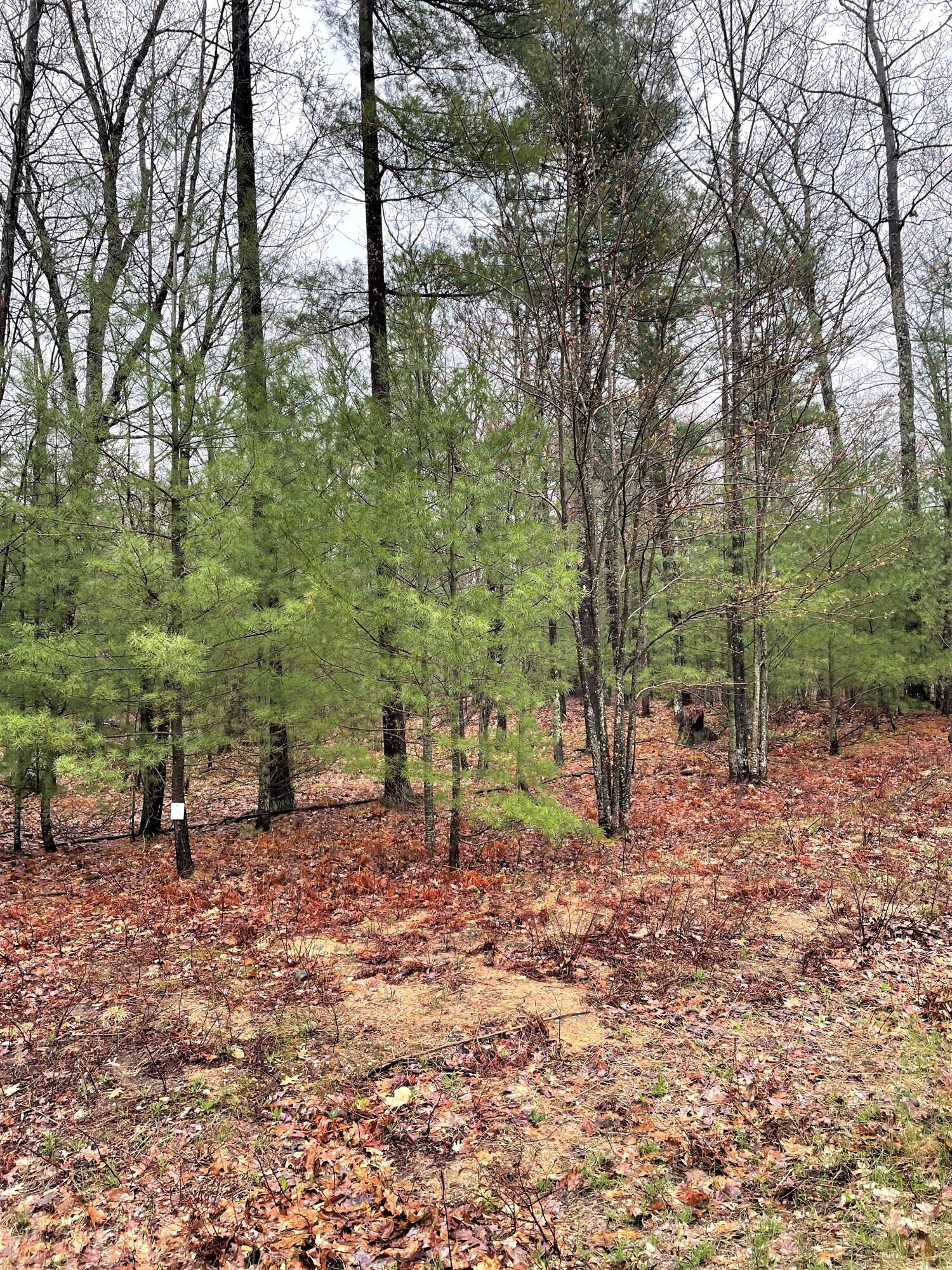 Indian River, Michigan 49749, United States, ,Land,Active,57321