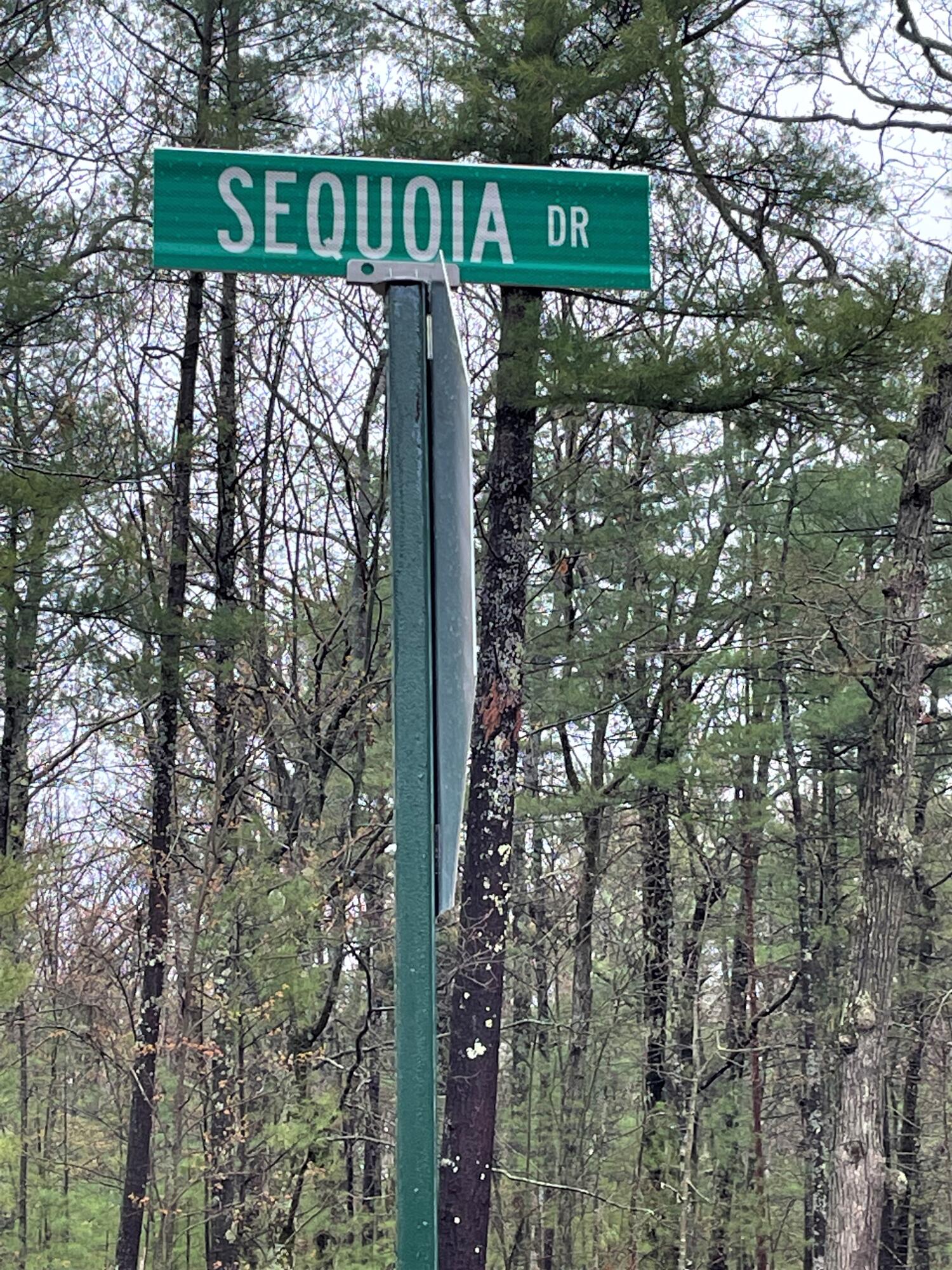 Indian River, Michigan 49749, United States, ,Land,Active,57321