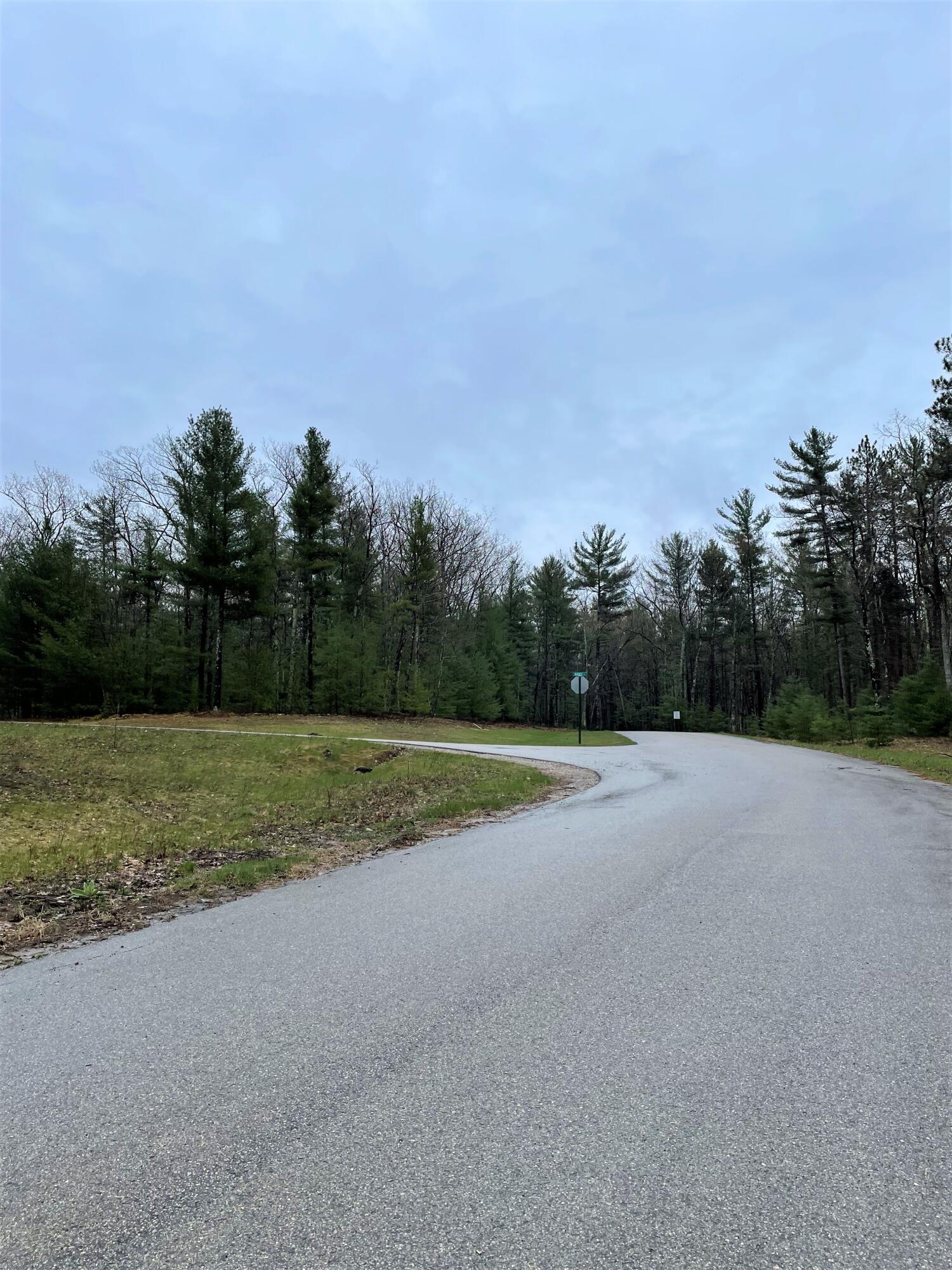 Indian River, Michigan 49749, United States, ,Land,Active,57321